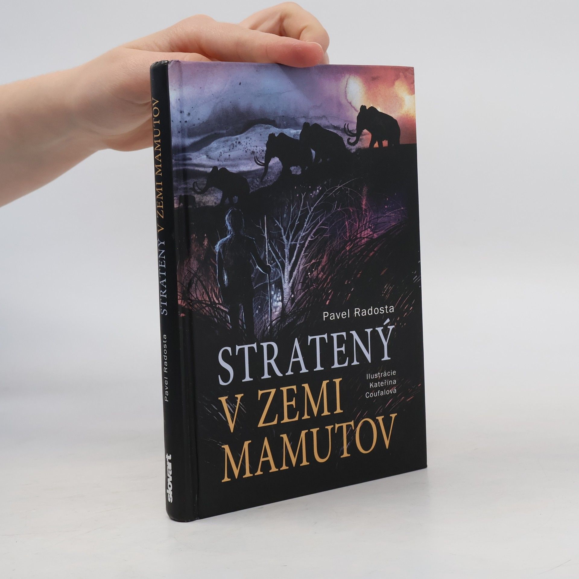 Stratený v zemi mamutov