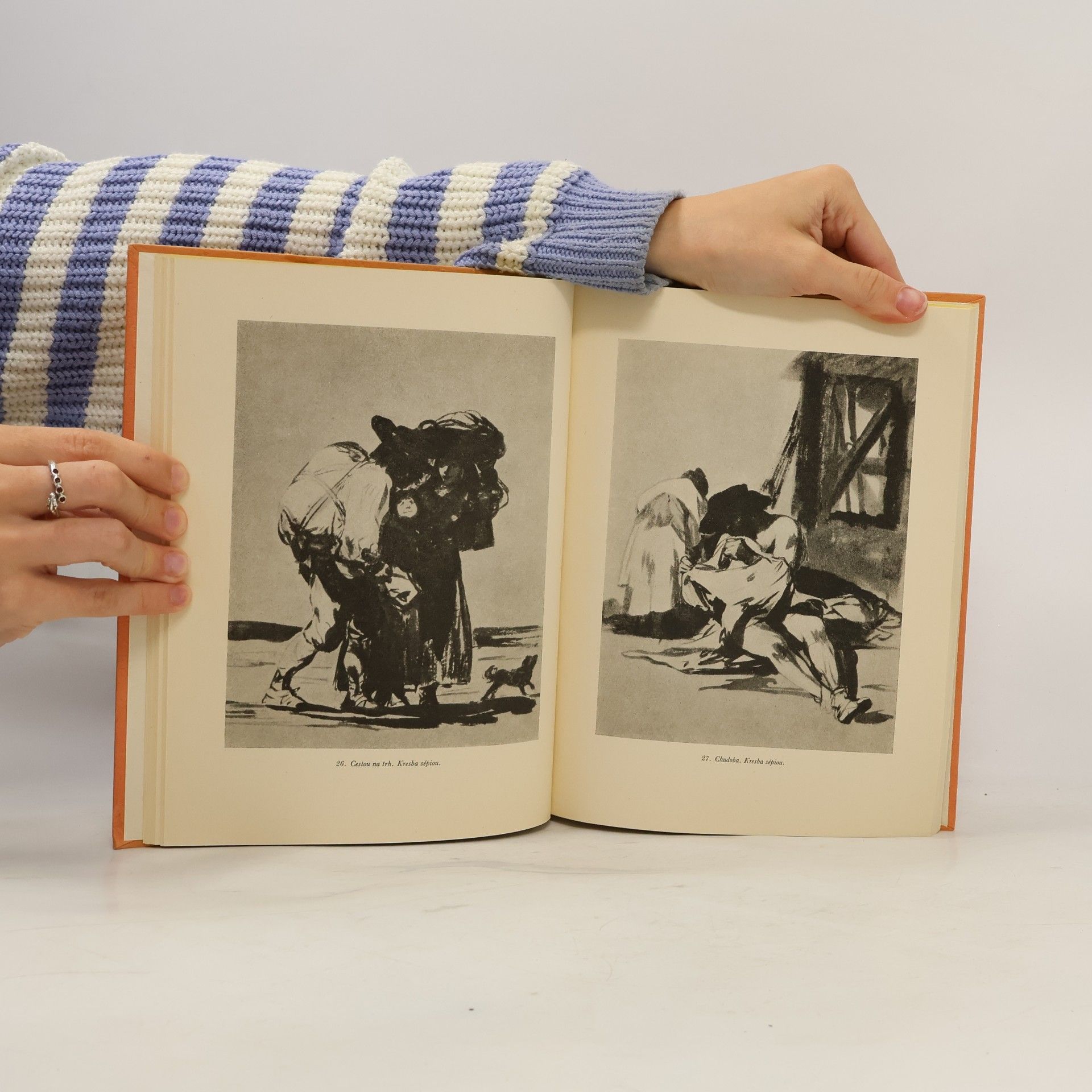 Various authors Francisco de Goya Y Lucientes