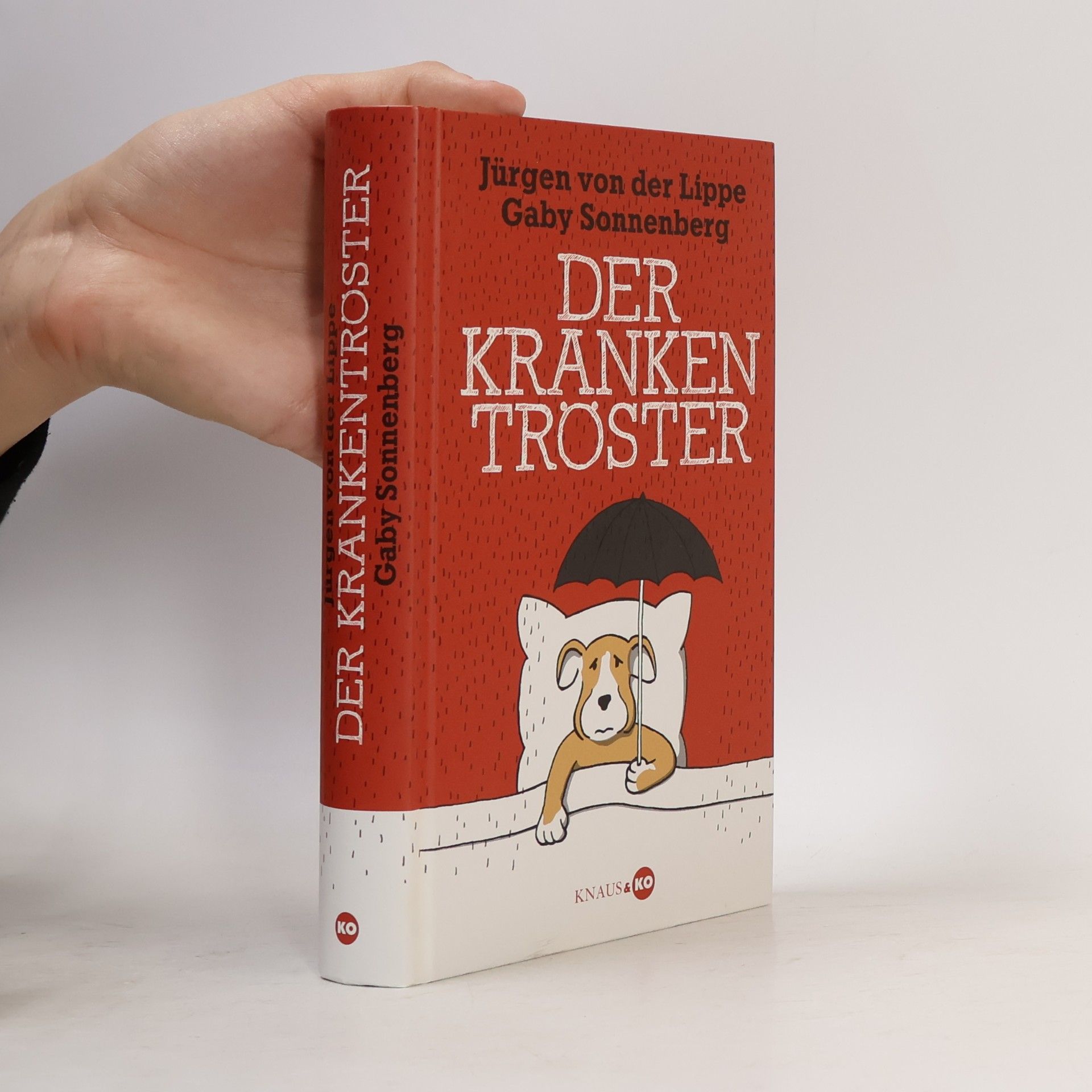 Der Krankentröster