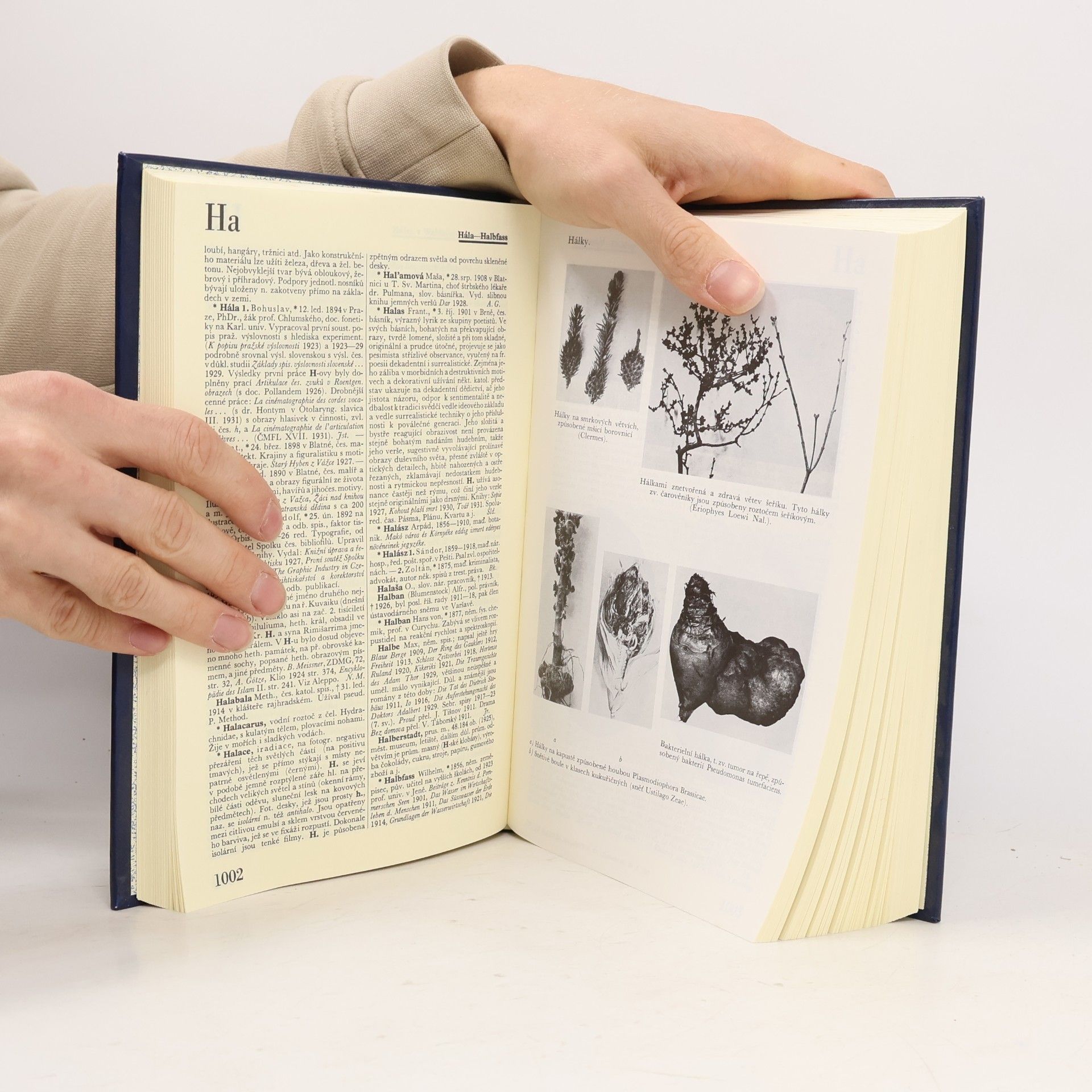 Autorenkollektiv Ottův slovník naučný Dodatky II. 2 Gao - Isk