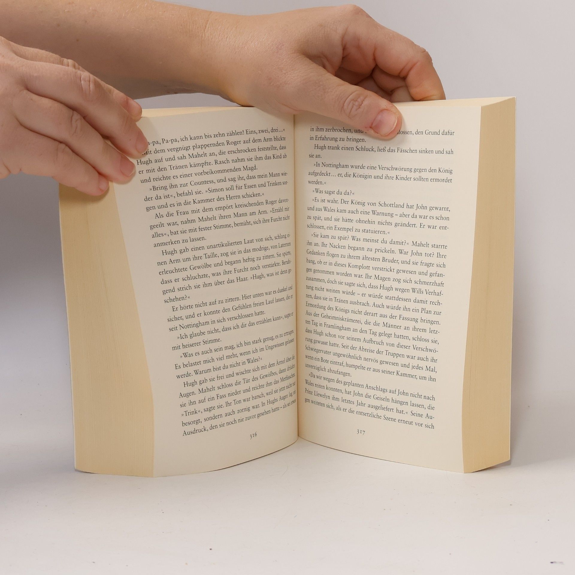 Elizabeth Chadwick Die englische Rebellin