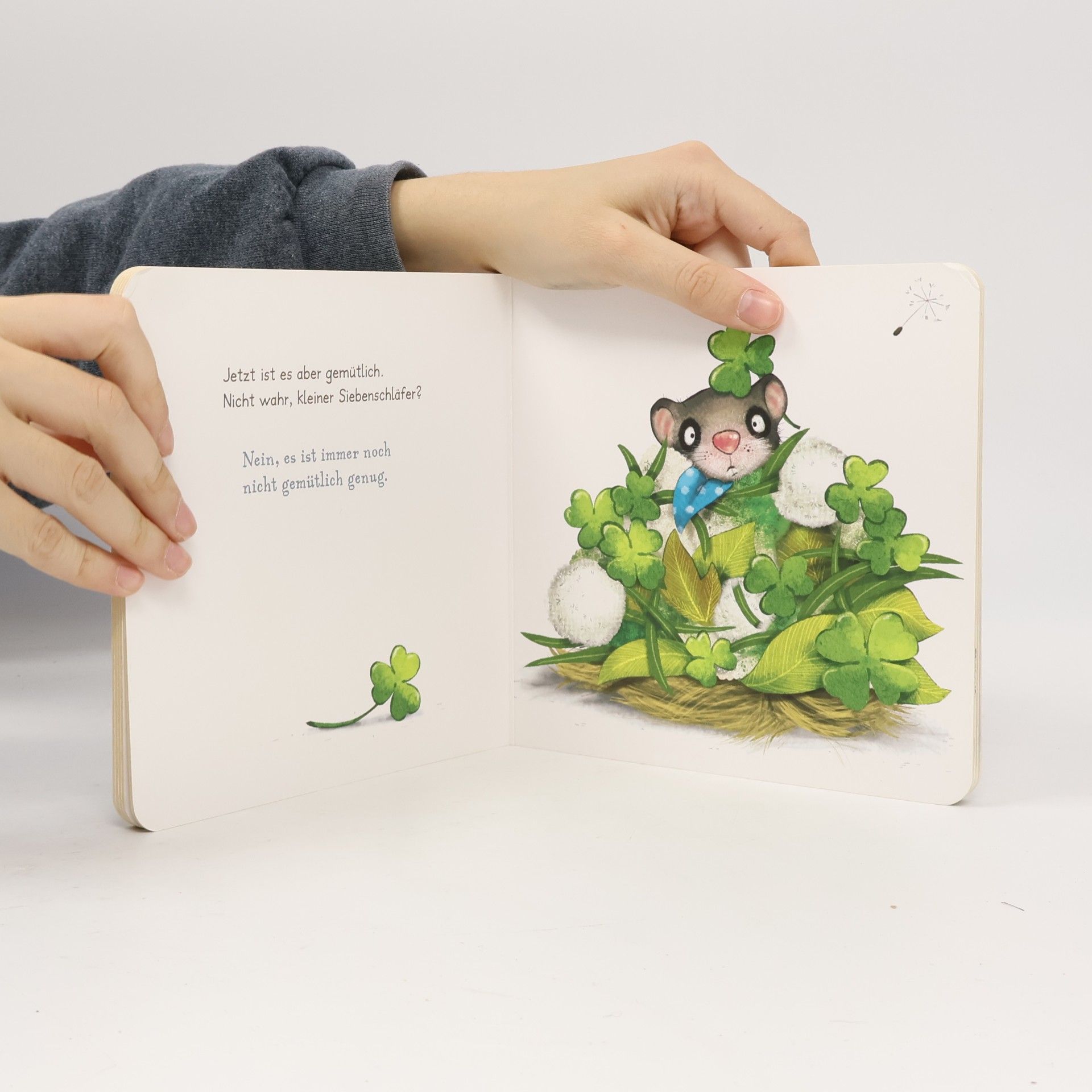 Der kleine Siebenschläfer - das ist noch nicht gemütlich!