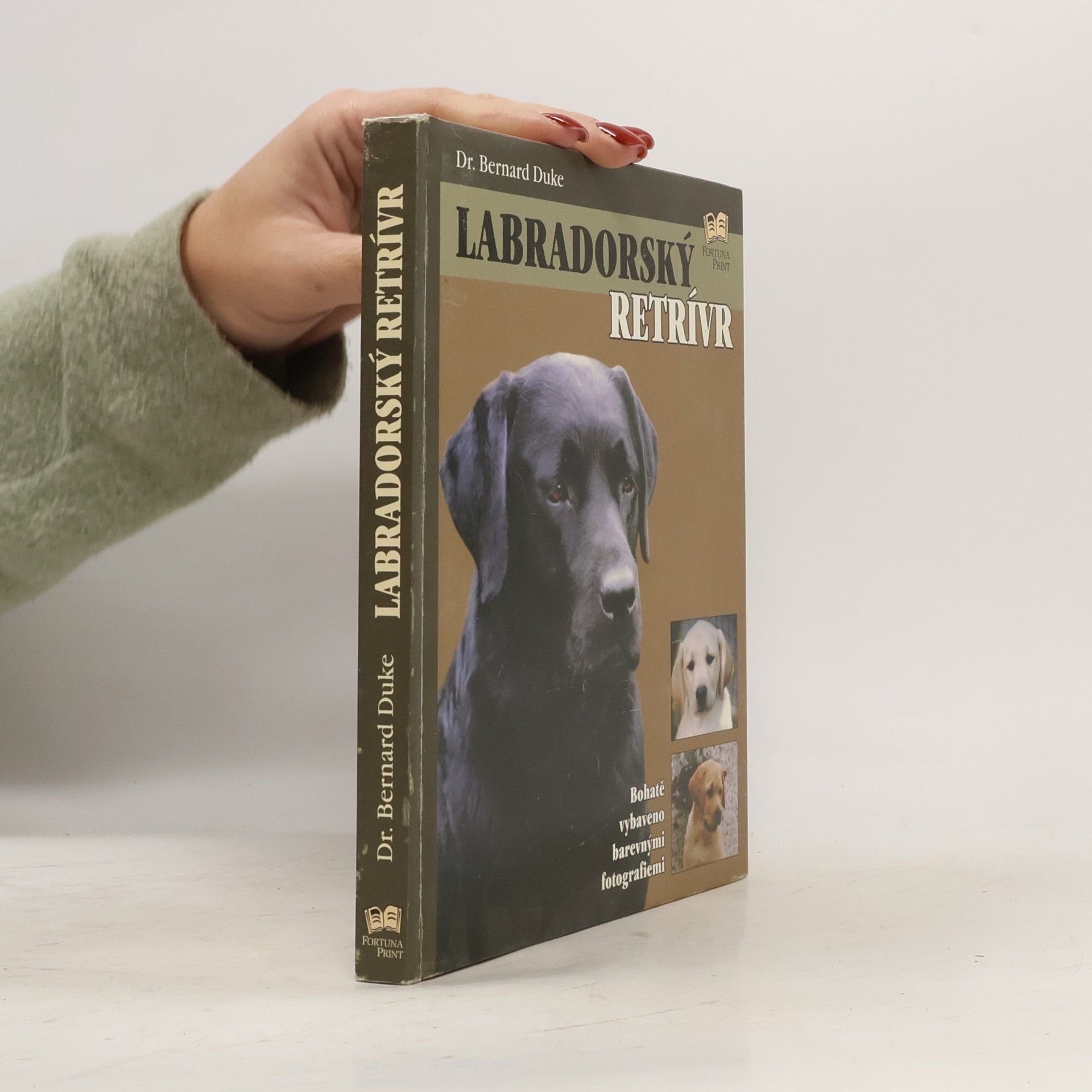 Labradorský retrívr