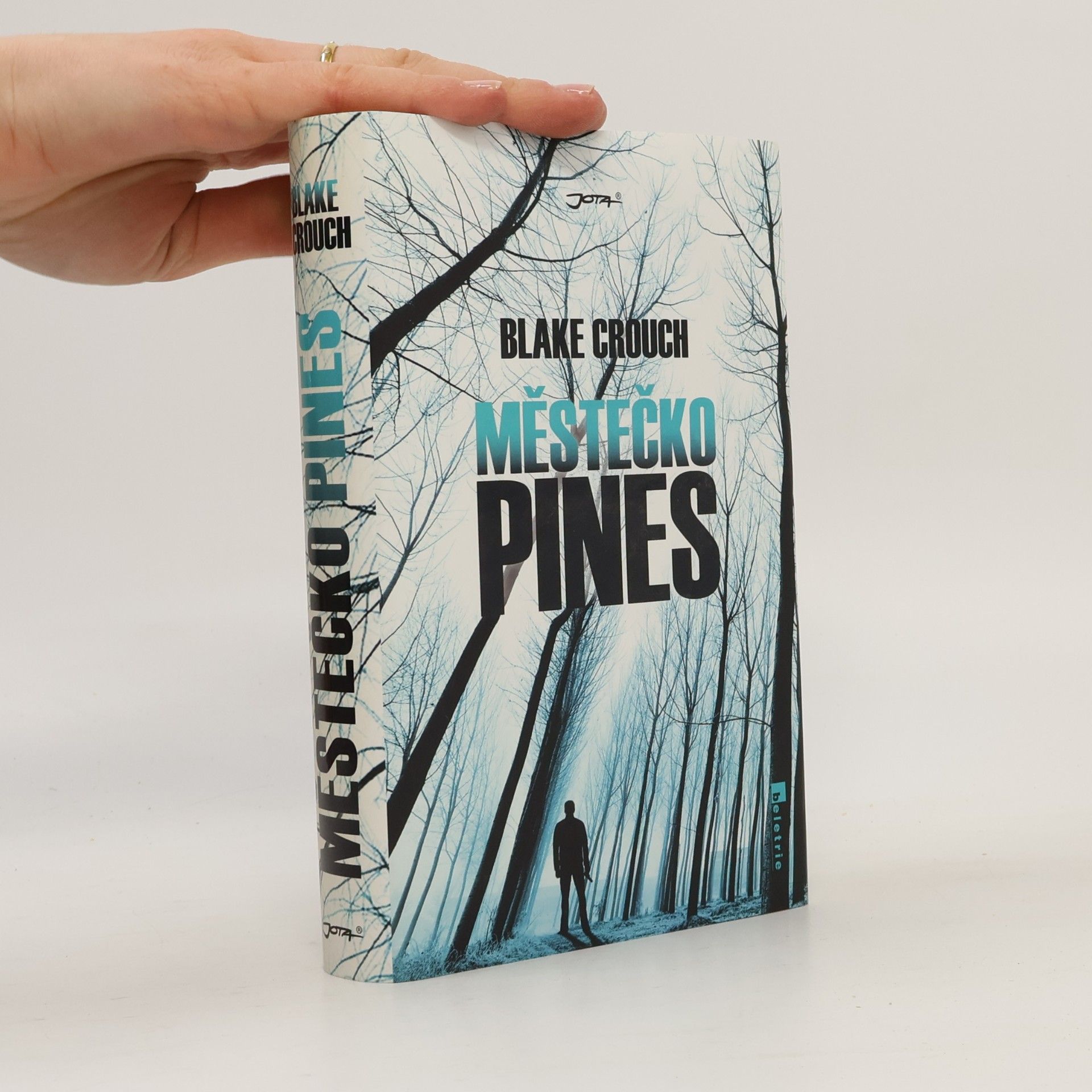Městečko Pines