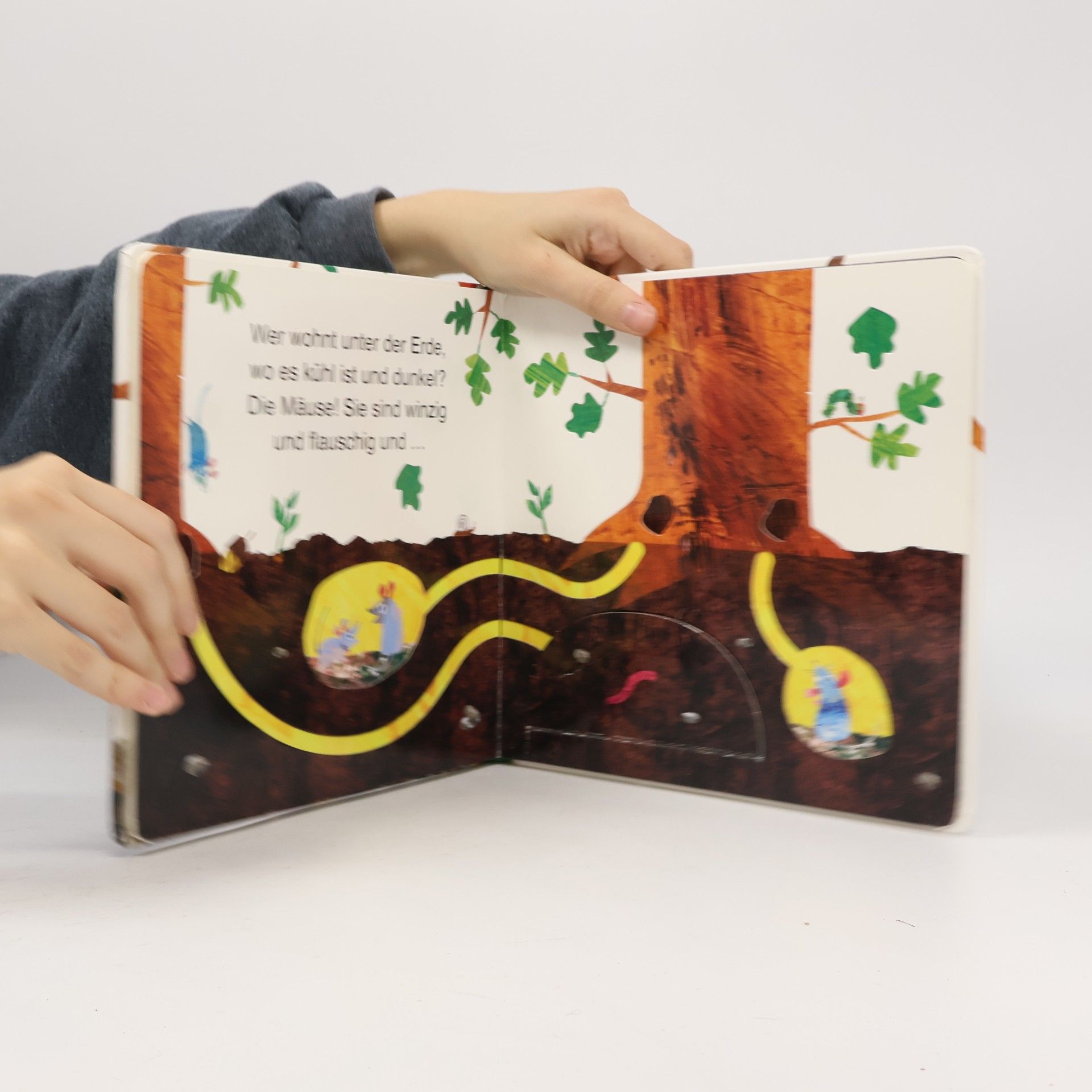 Eric Carle Die kleine Raupe Nimmersatt - Wer versteckt sich in der Natur?