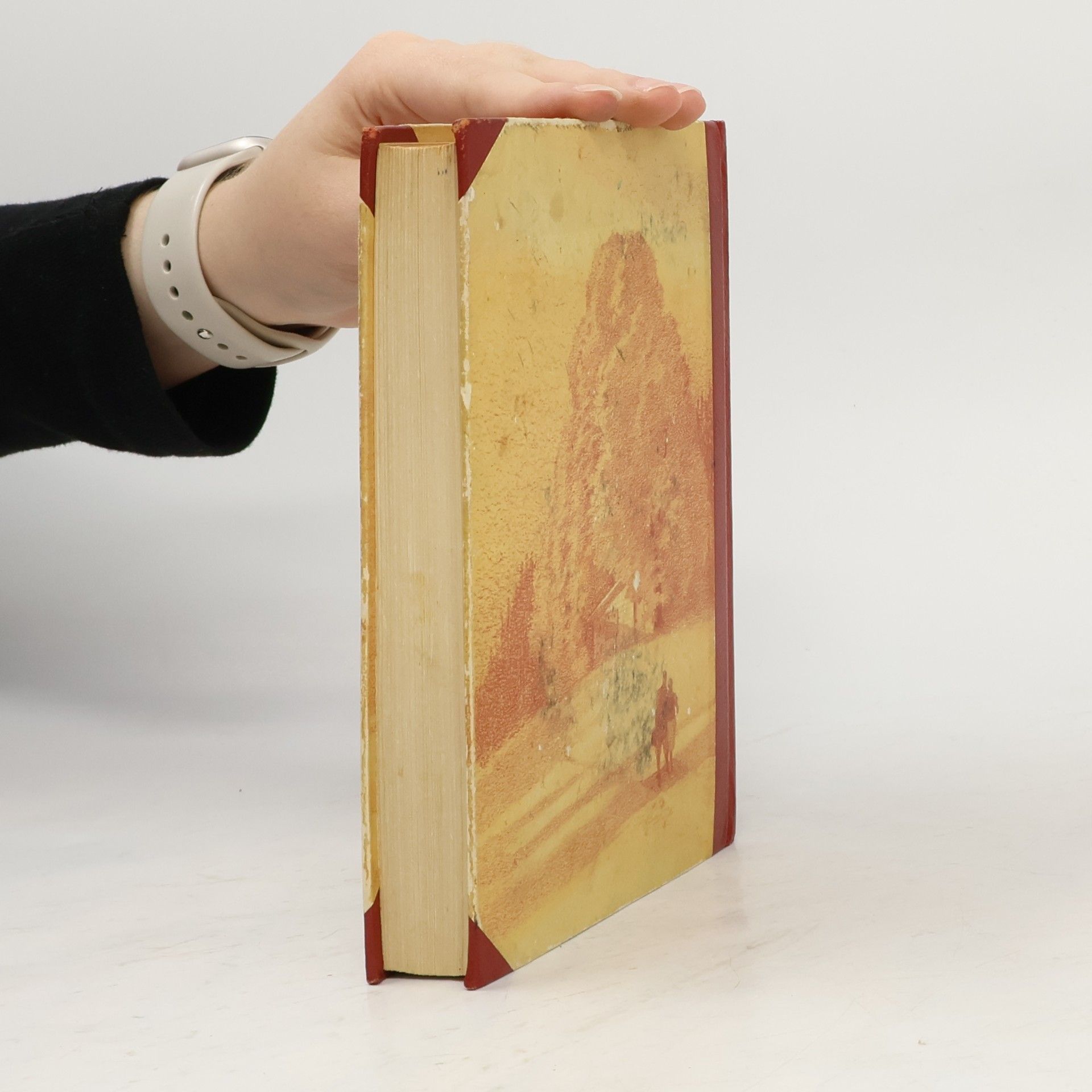 Jenny Sattler-König Spiel des Schicksals