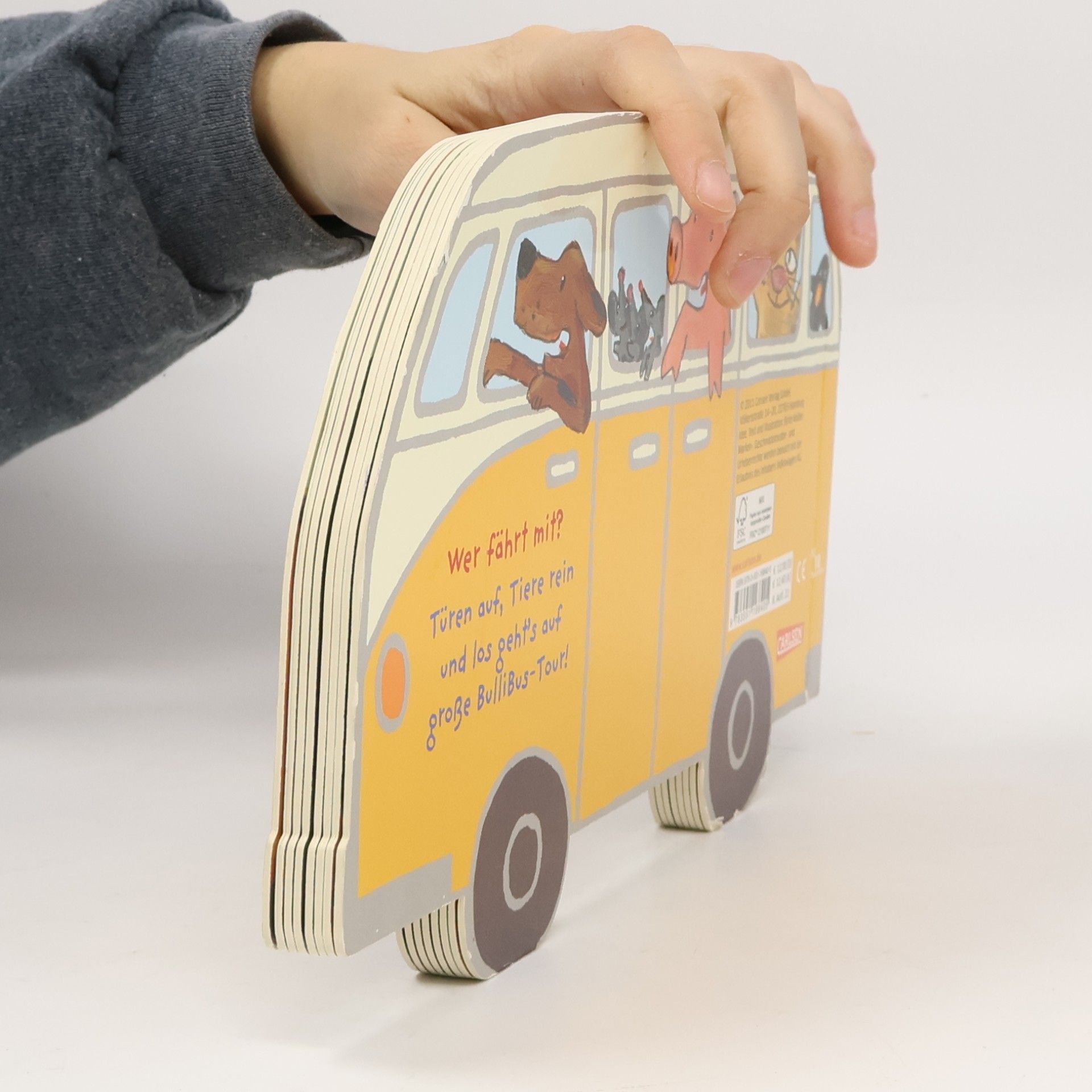 Birte Müller Mein BulliBusBuch