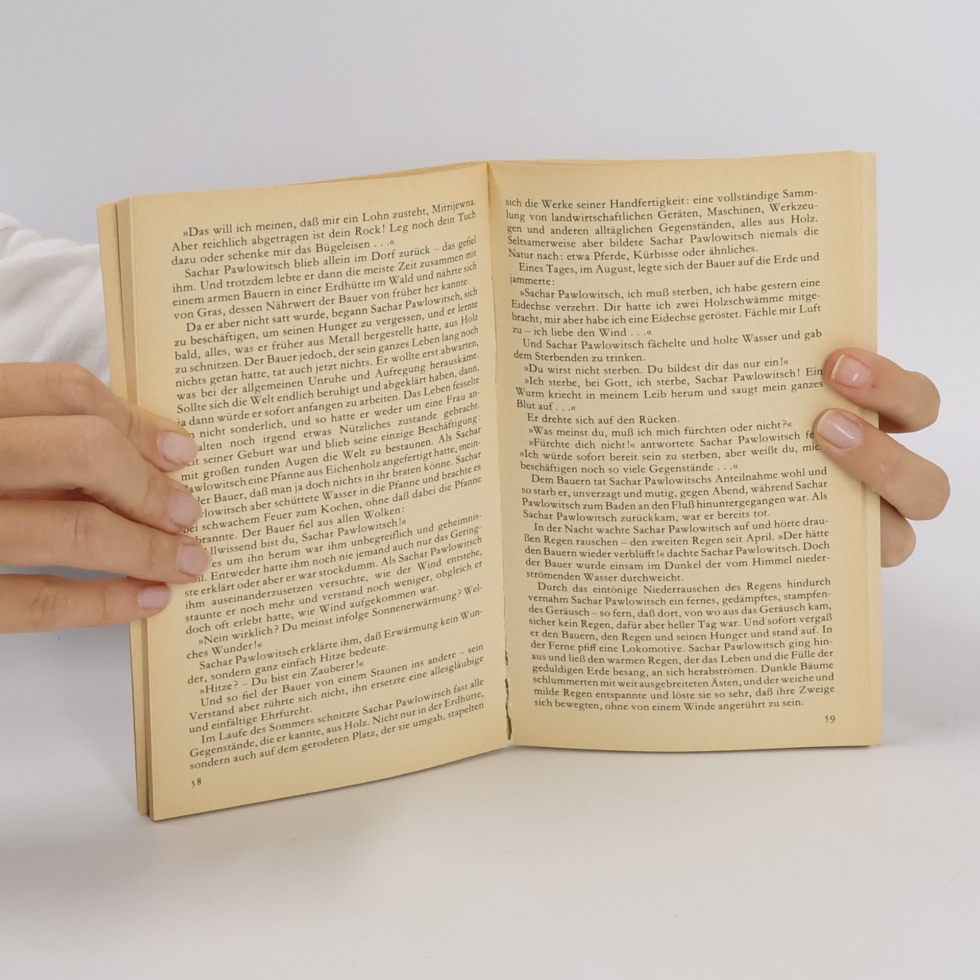 Andrej Platonov Die Kutschervorstadt Erzählungen