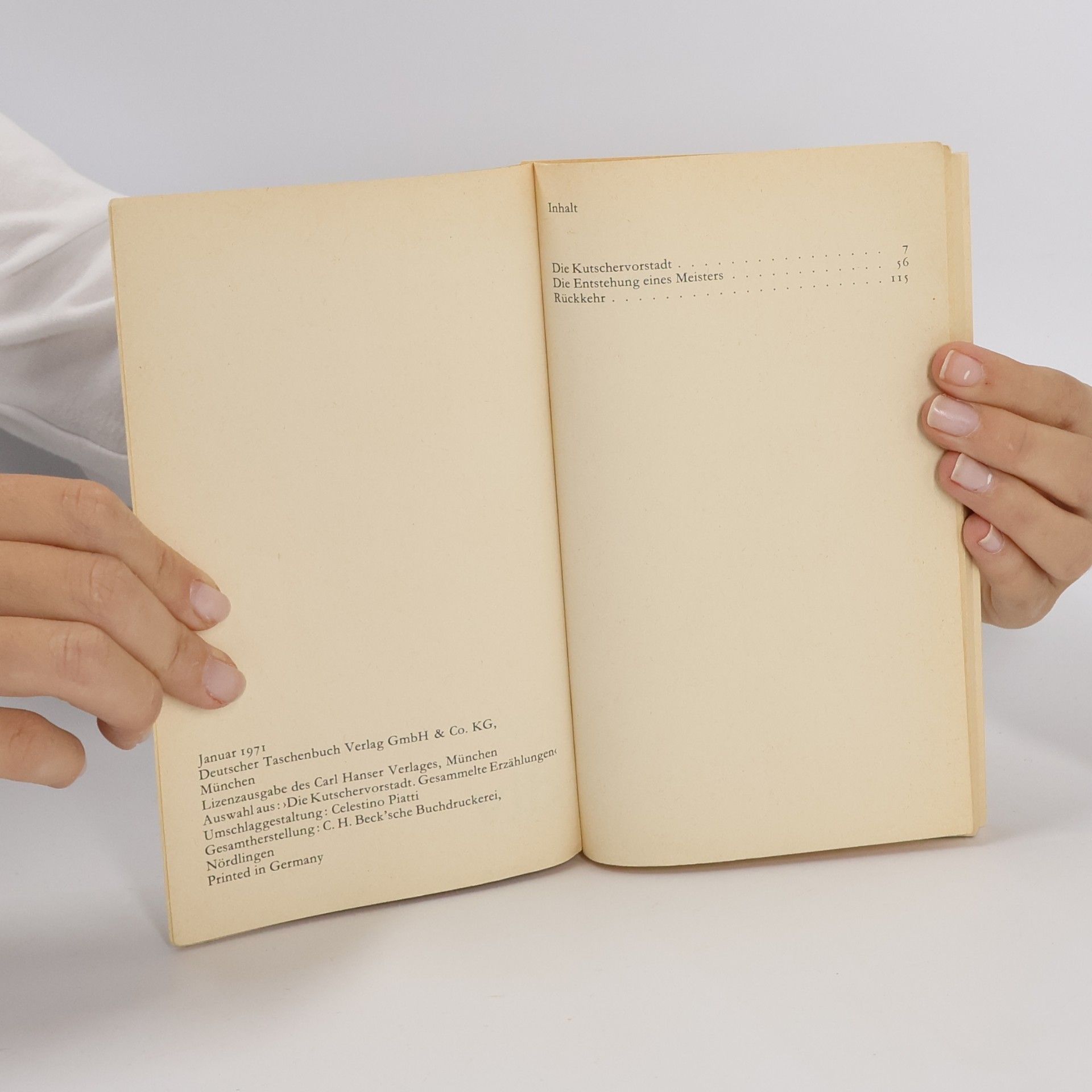 Andrej Platonov Die Kutschervorstadt Erzählungen