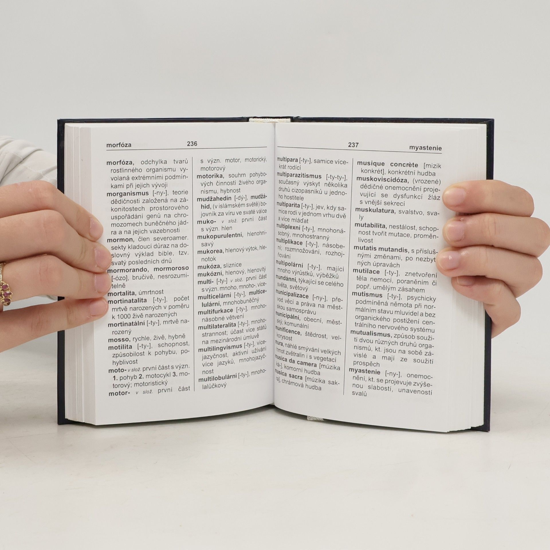 Autorenkollektiv Kapesní slovník cizích slov