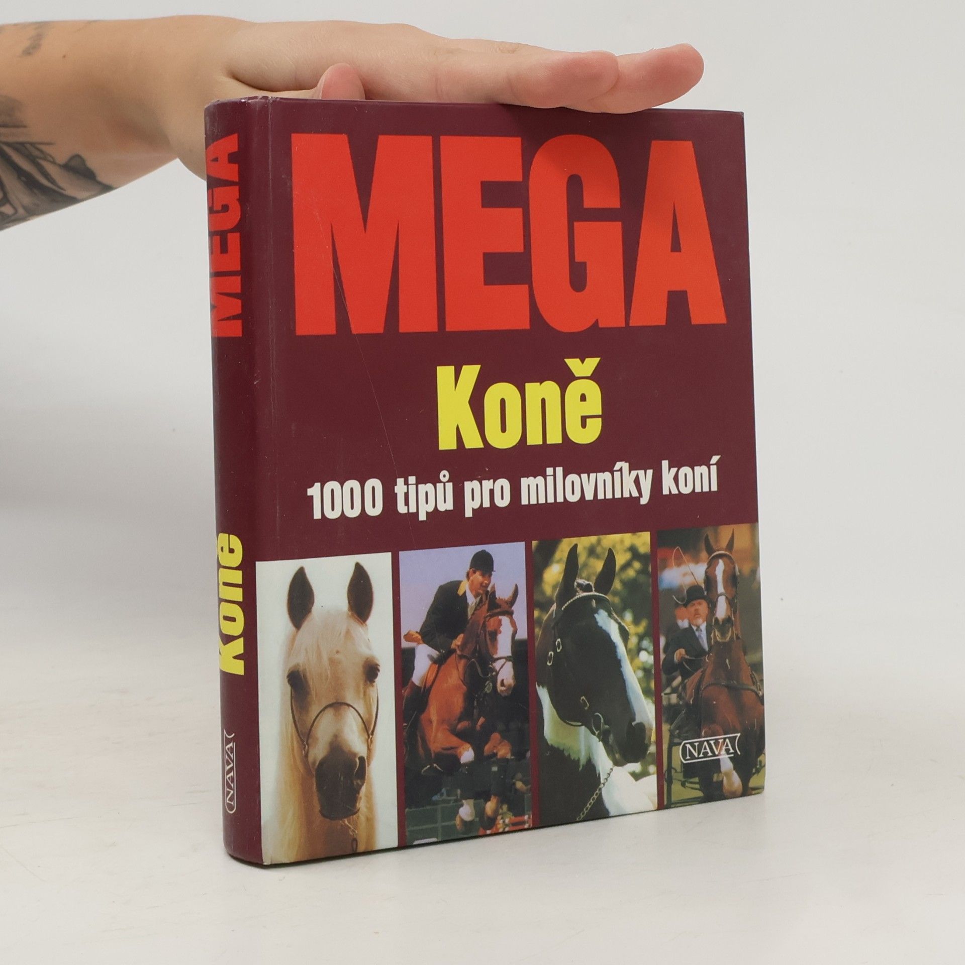 Mega: Koně