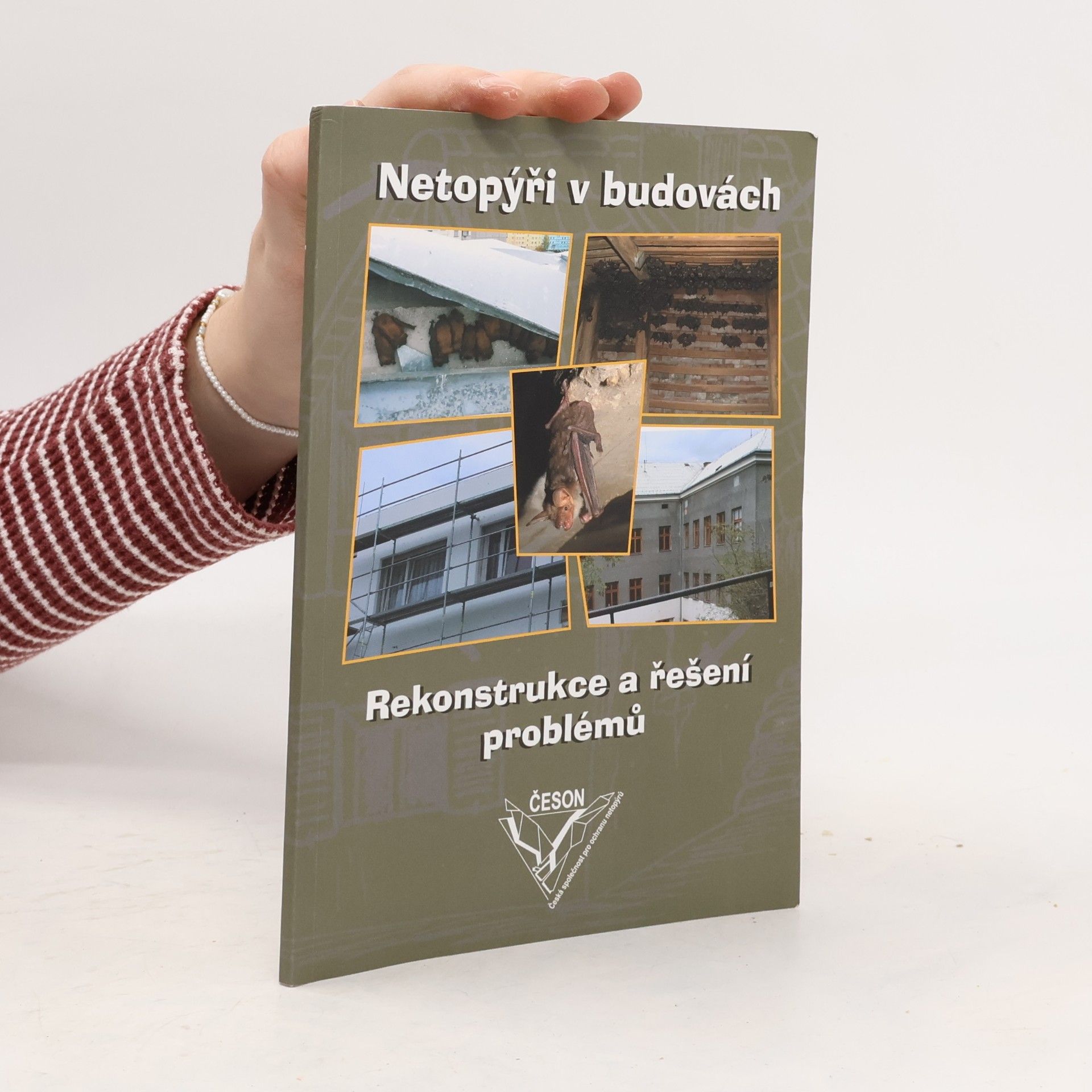 Petra Schnitzerová Netopýři v budovách