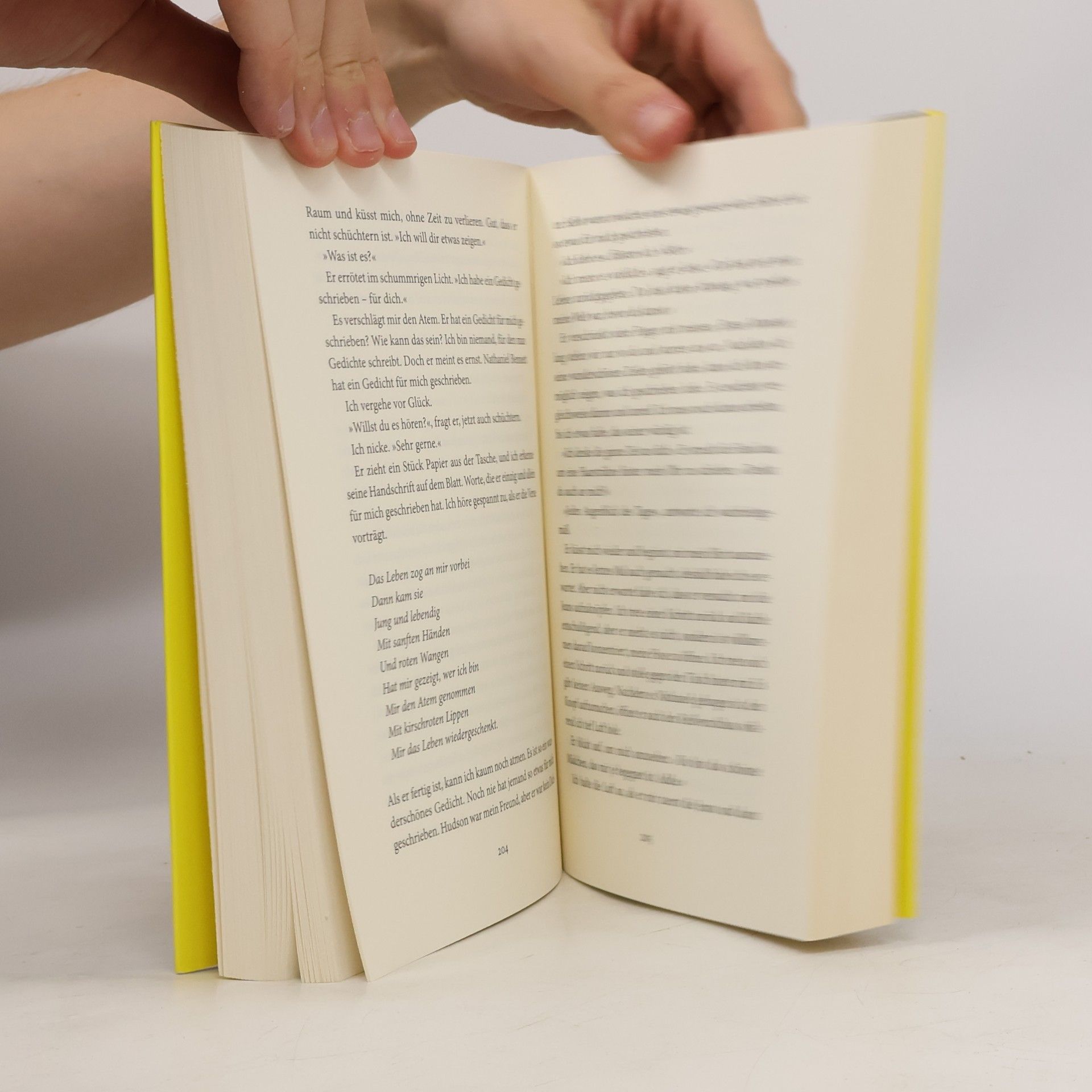 Freida McFadden Der Lehrer – Will er dir helfen oder will er deinen Tod?