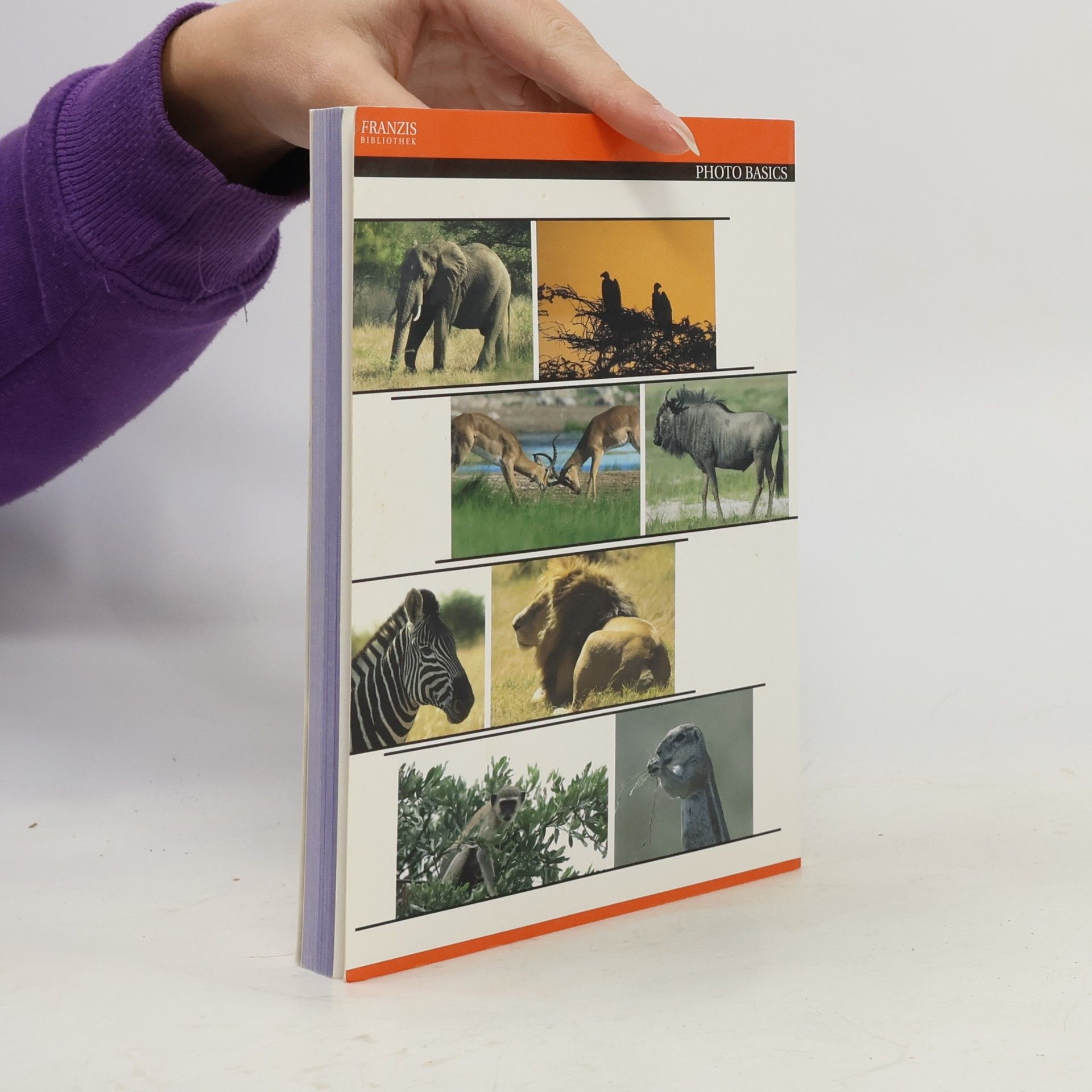 Autorenkollektiv Wildlife exclusiv. Tiere der Savanne
