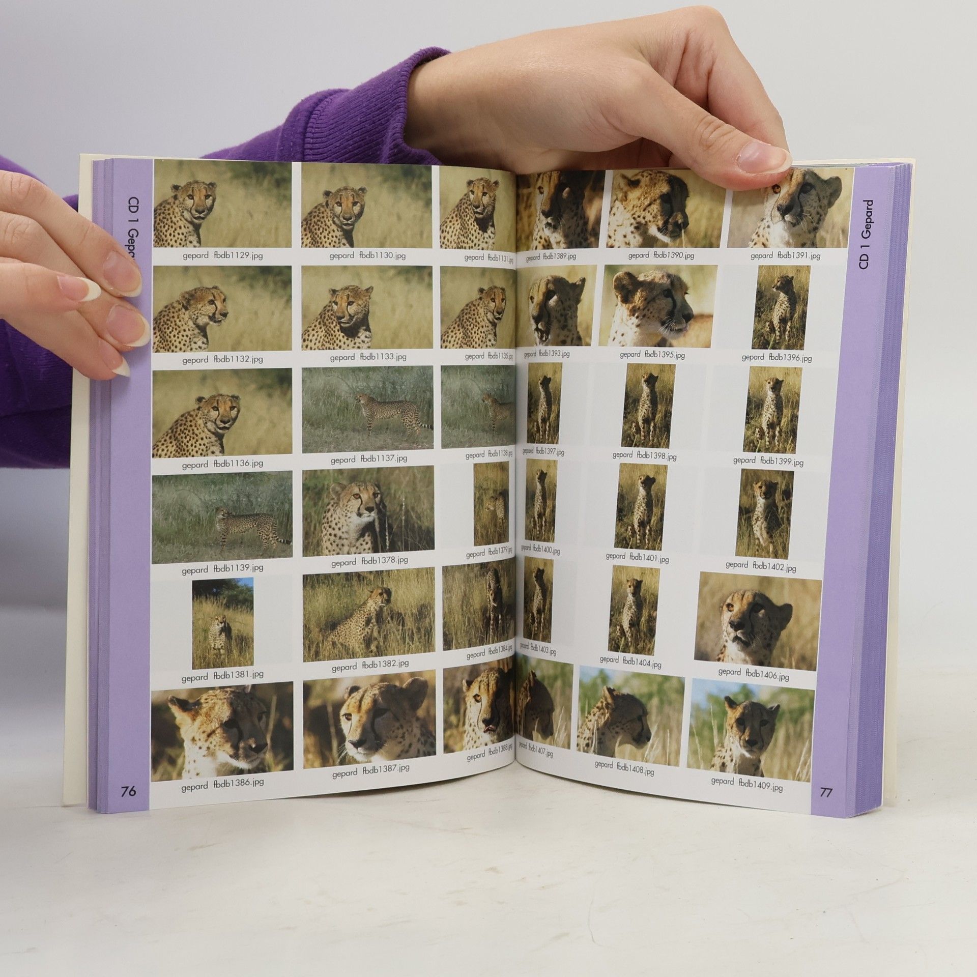 Autorenkollektiv Wildlife exclusiv. Tiere der Savanne