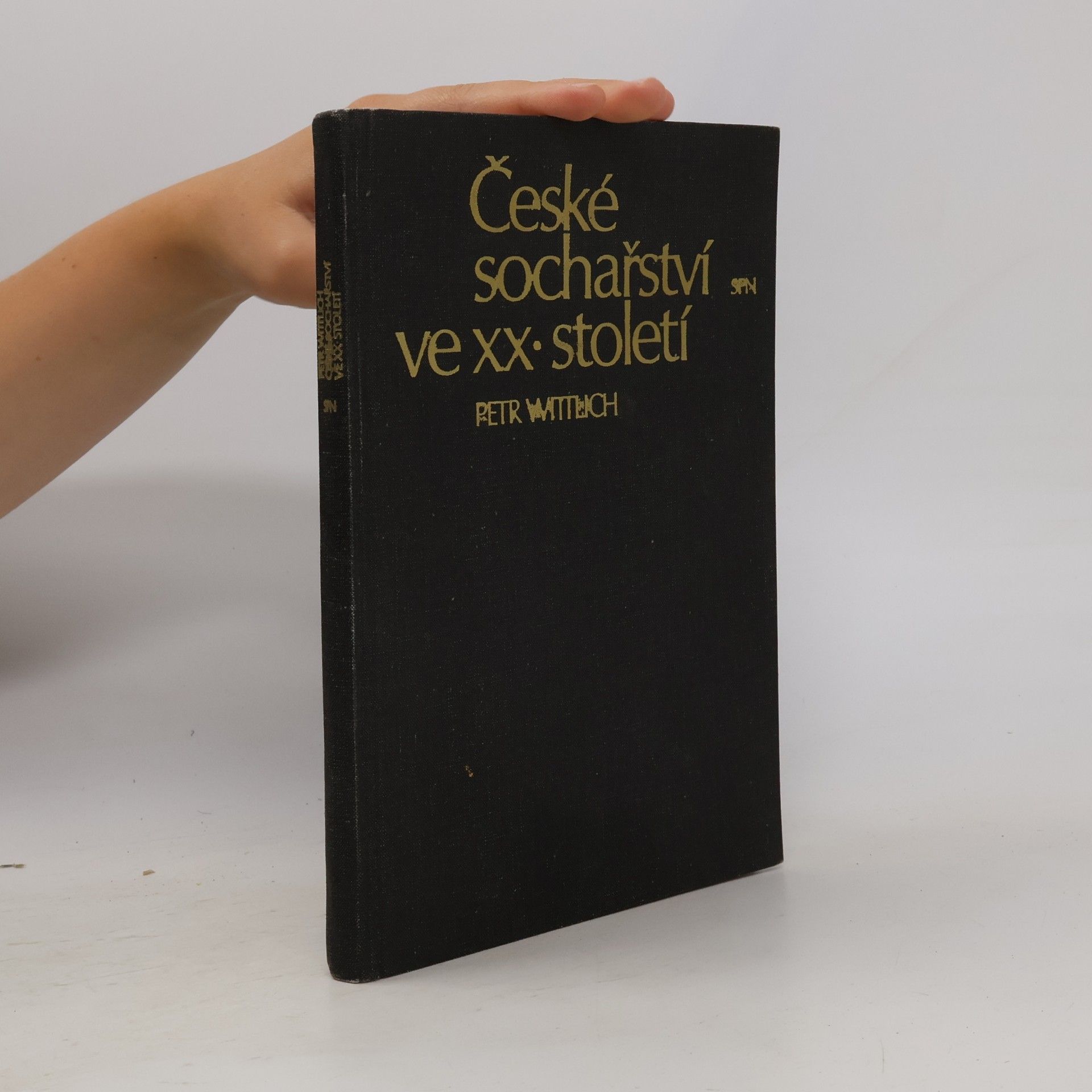 České sochařství ve XX. století