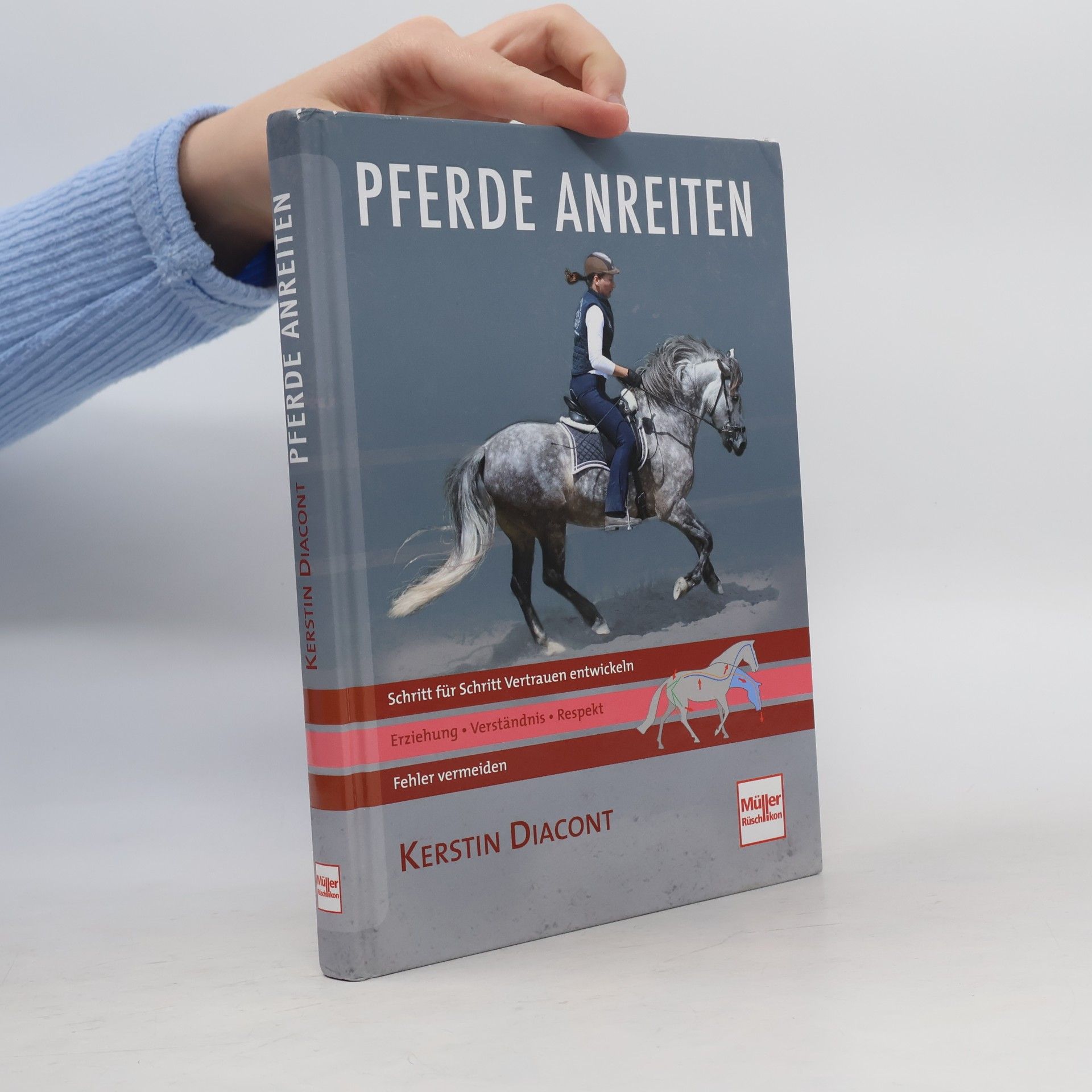 Pferde anreiten