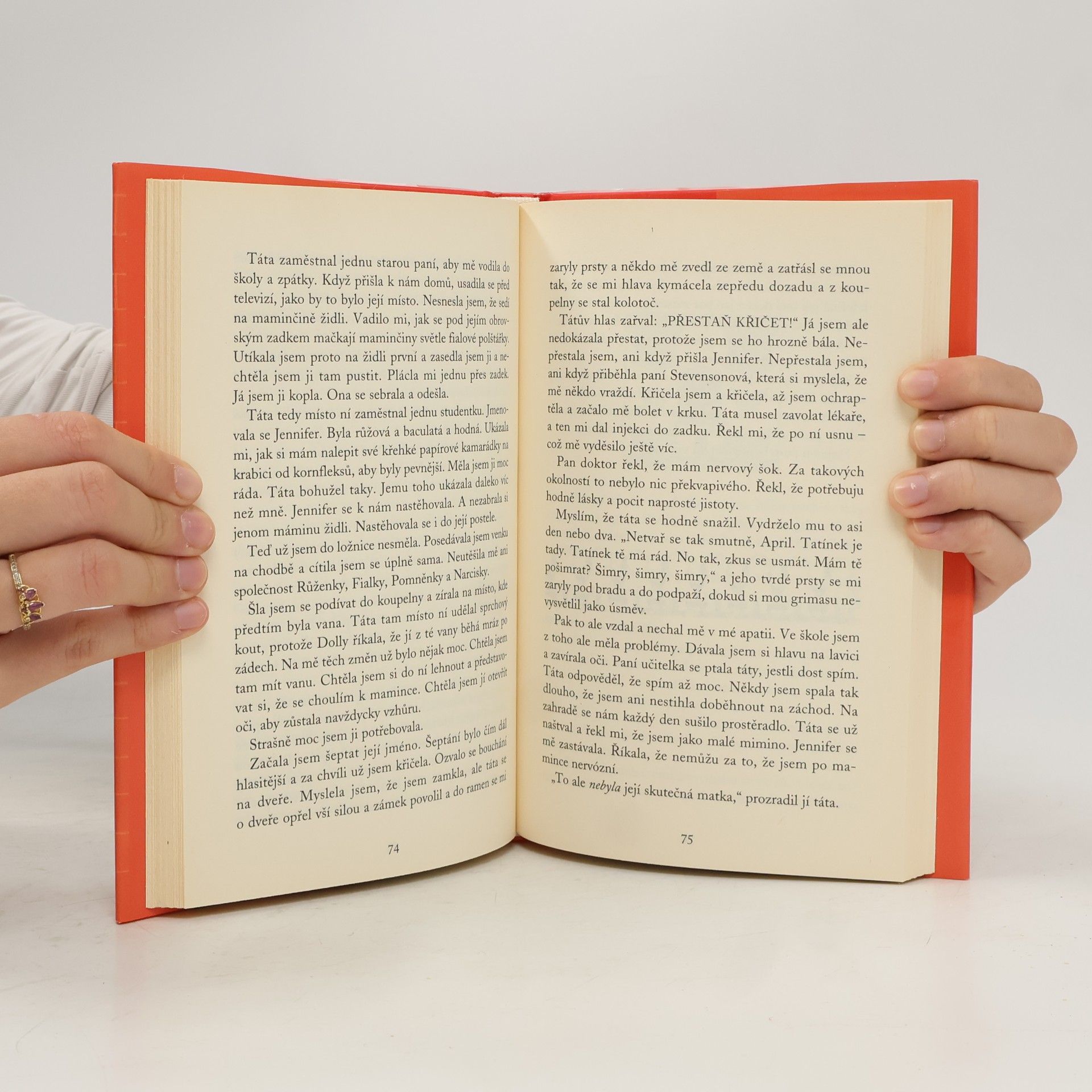 Jacqueline Wilson Holka z popelnice