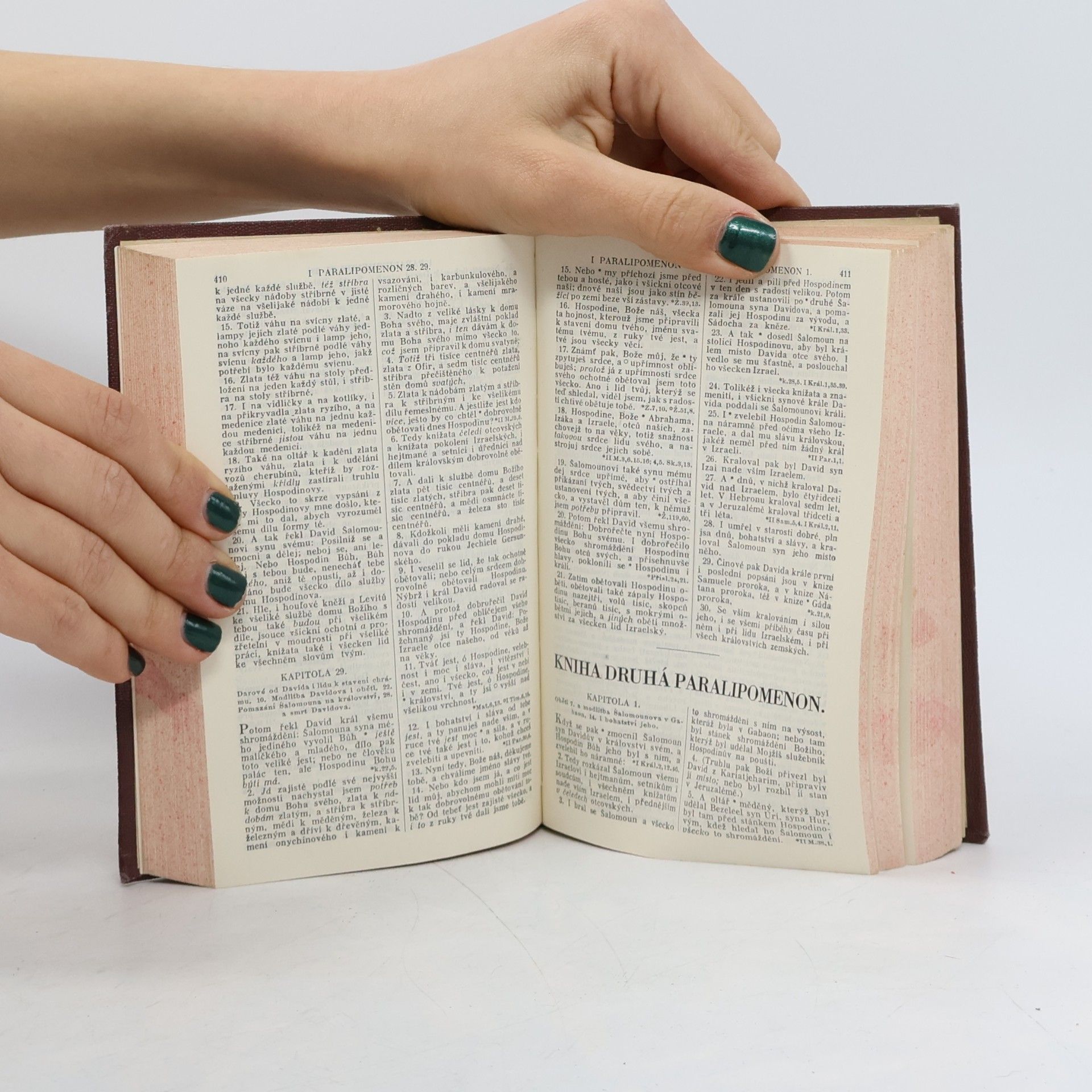 Various authors Biblí svatá aneb Všecka svatá písma Starého i Nového zákona