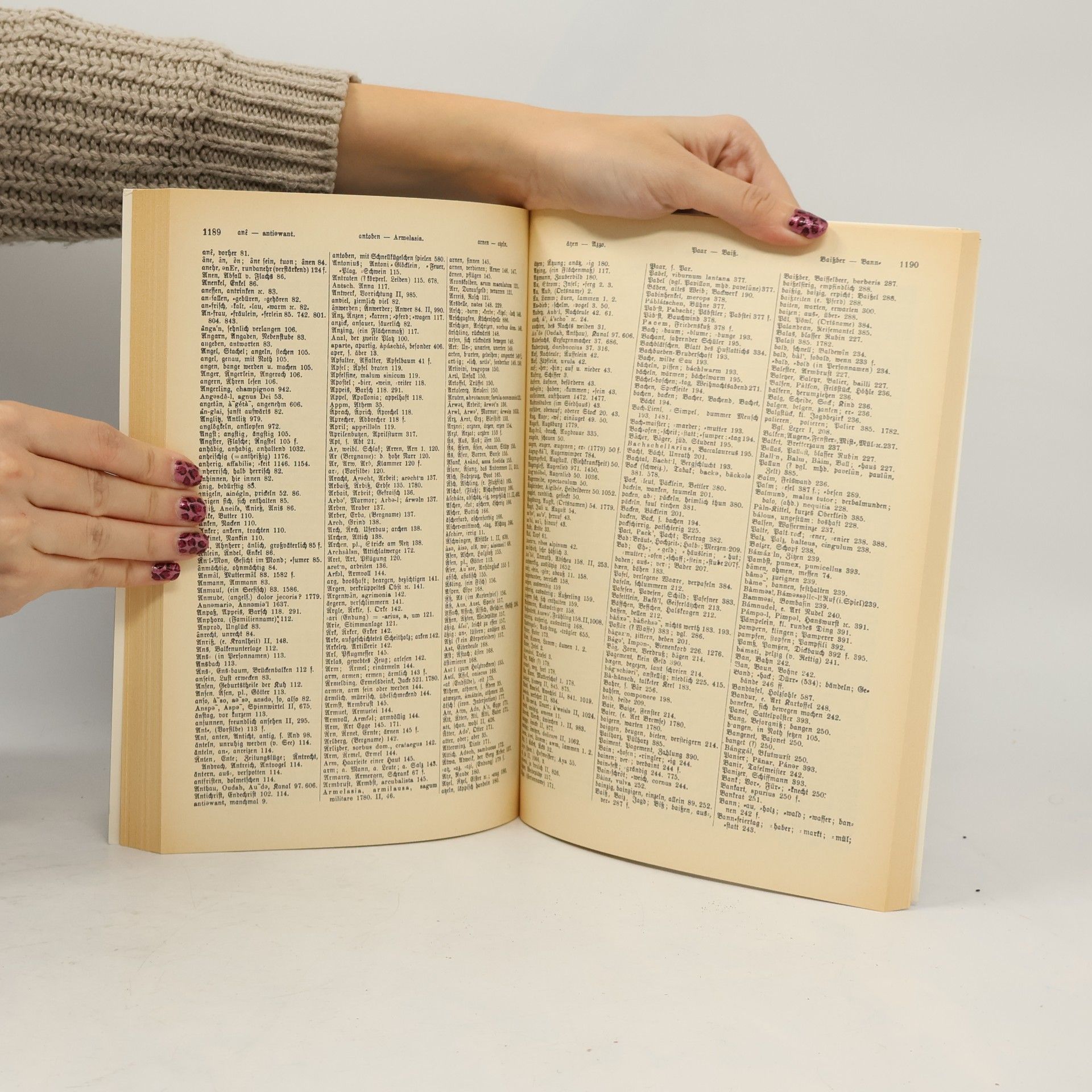 Johann Andreas Schmeller Bayerisches Wörterbuch. (1. - 2.)