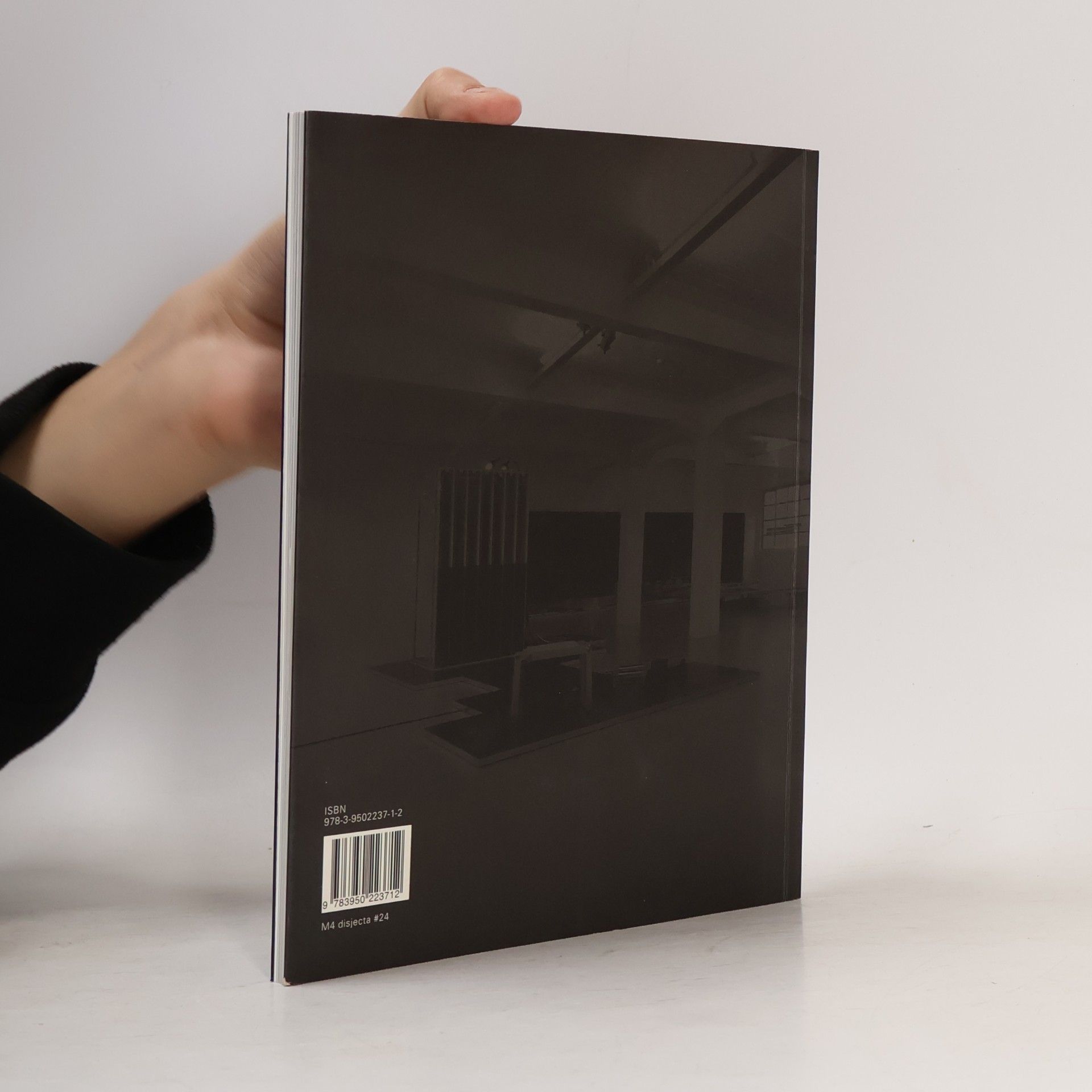 Wolfgang Fetz Attractive Abstraction in Art and Architecture
