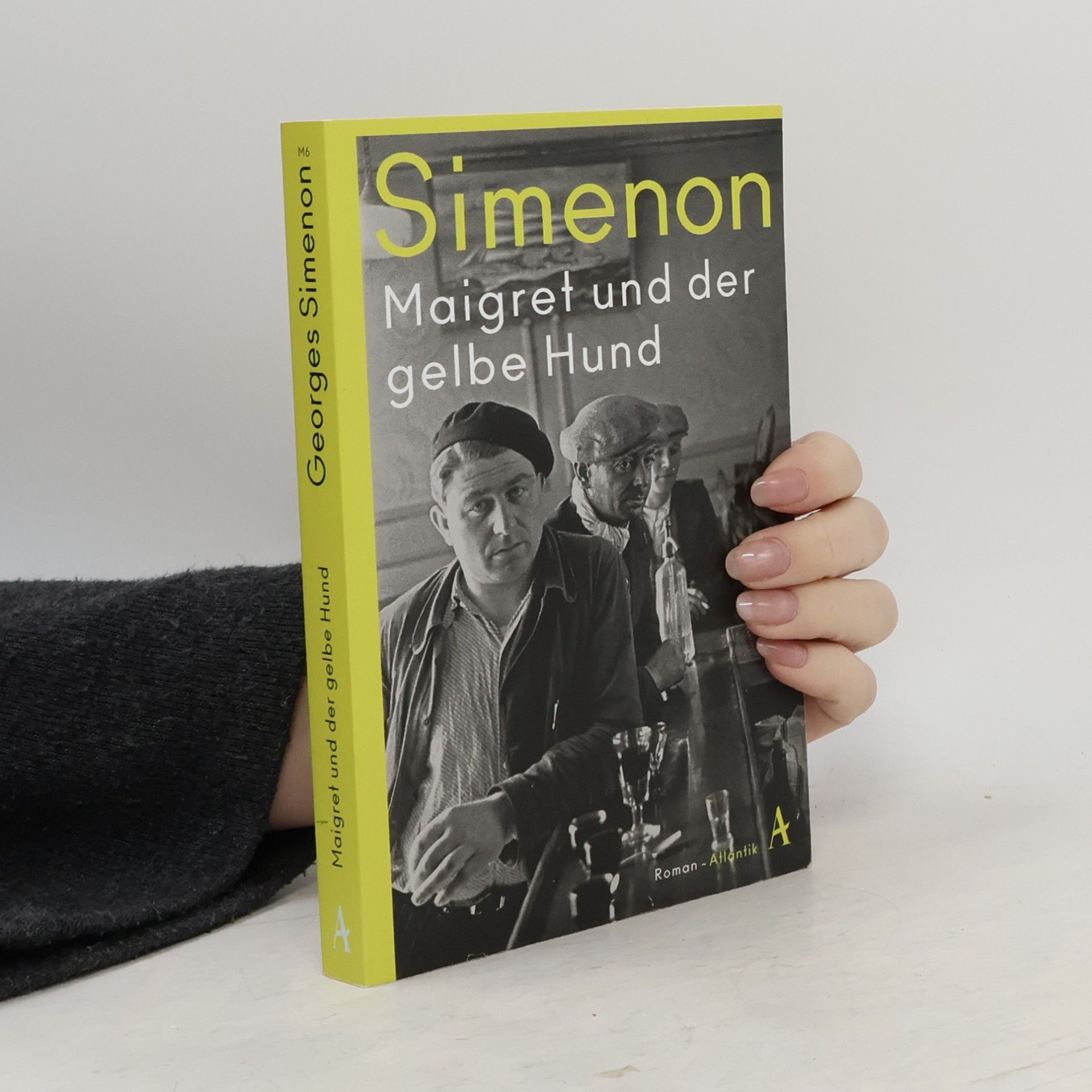 Georges Simenon Maigret und der gelbe Hund