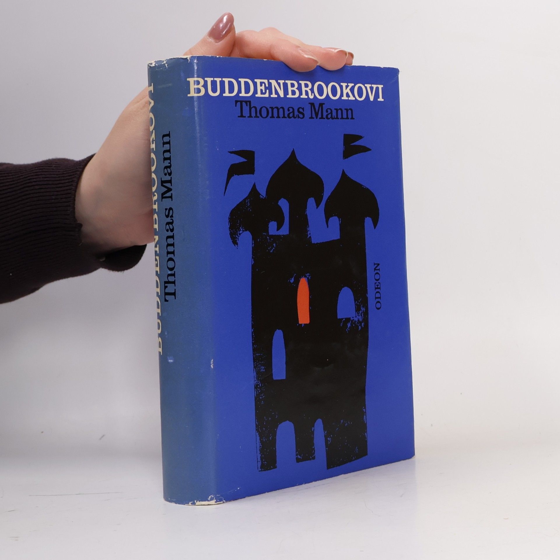 Buddenbrookovi
