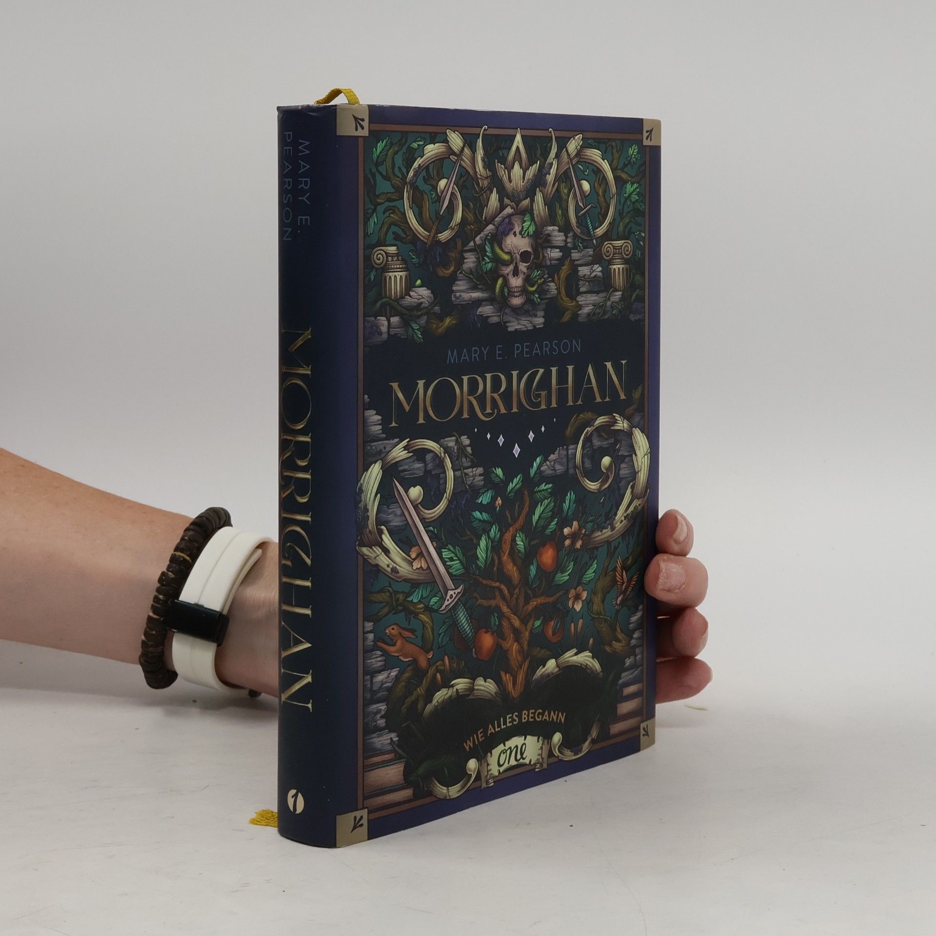 Mary E. Pearson Morrighan - Wie alles begann
