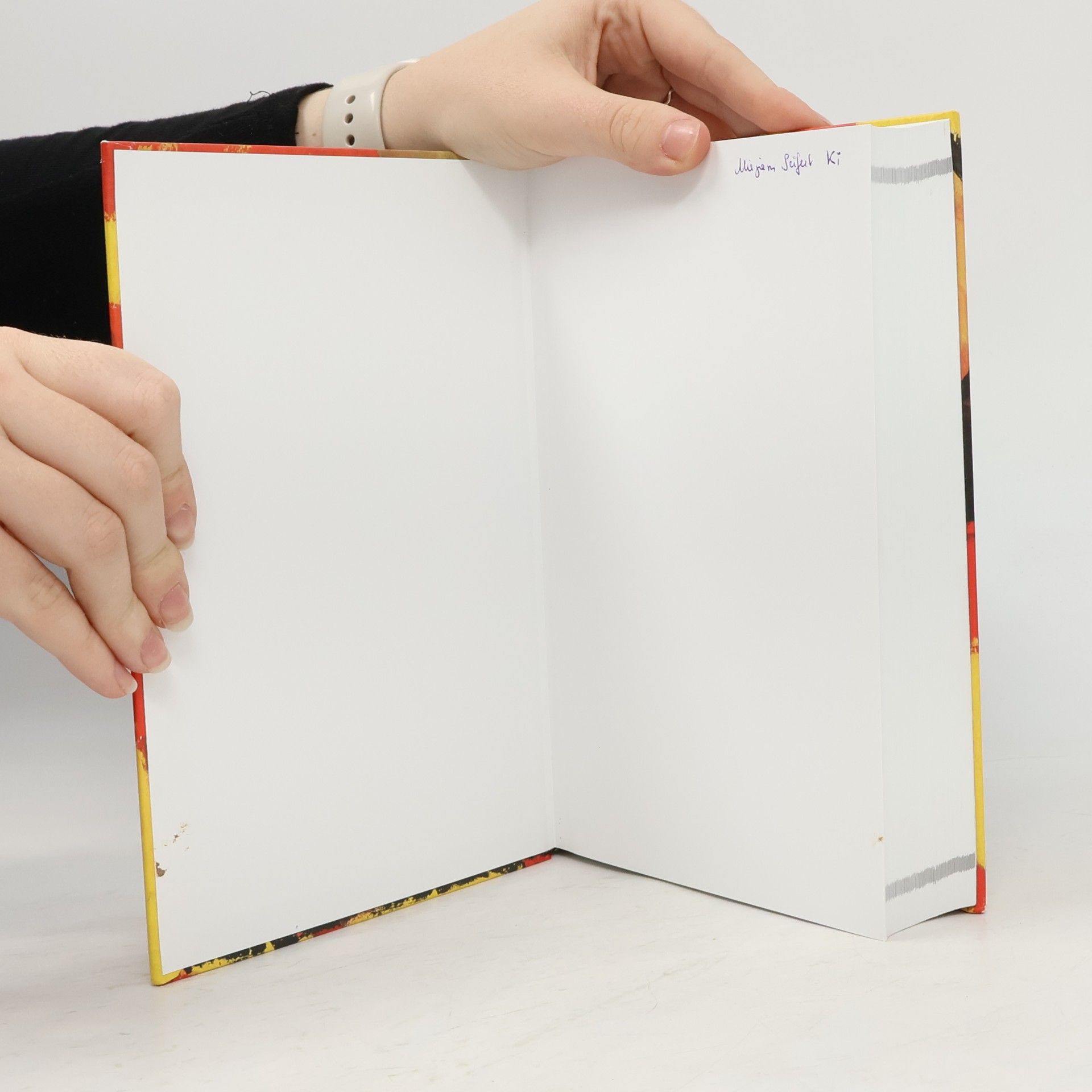 Hans Joachim Schmutzler Handbuch Heilpädagogisches Grundwissen