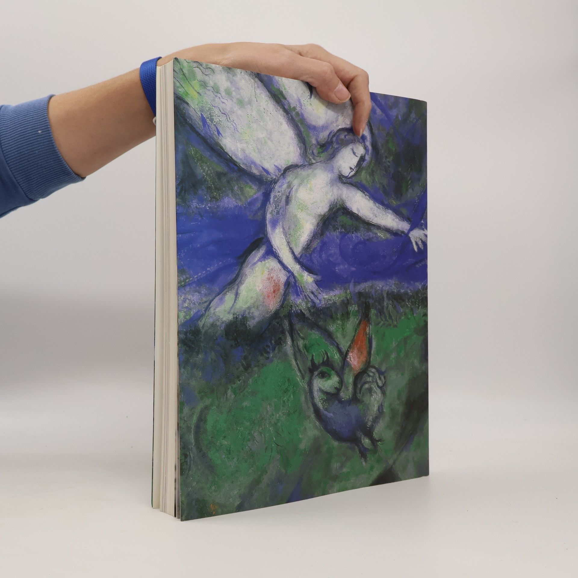 Klaus Albrecht Schröder Chagall. Die Mythen der Bibel