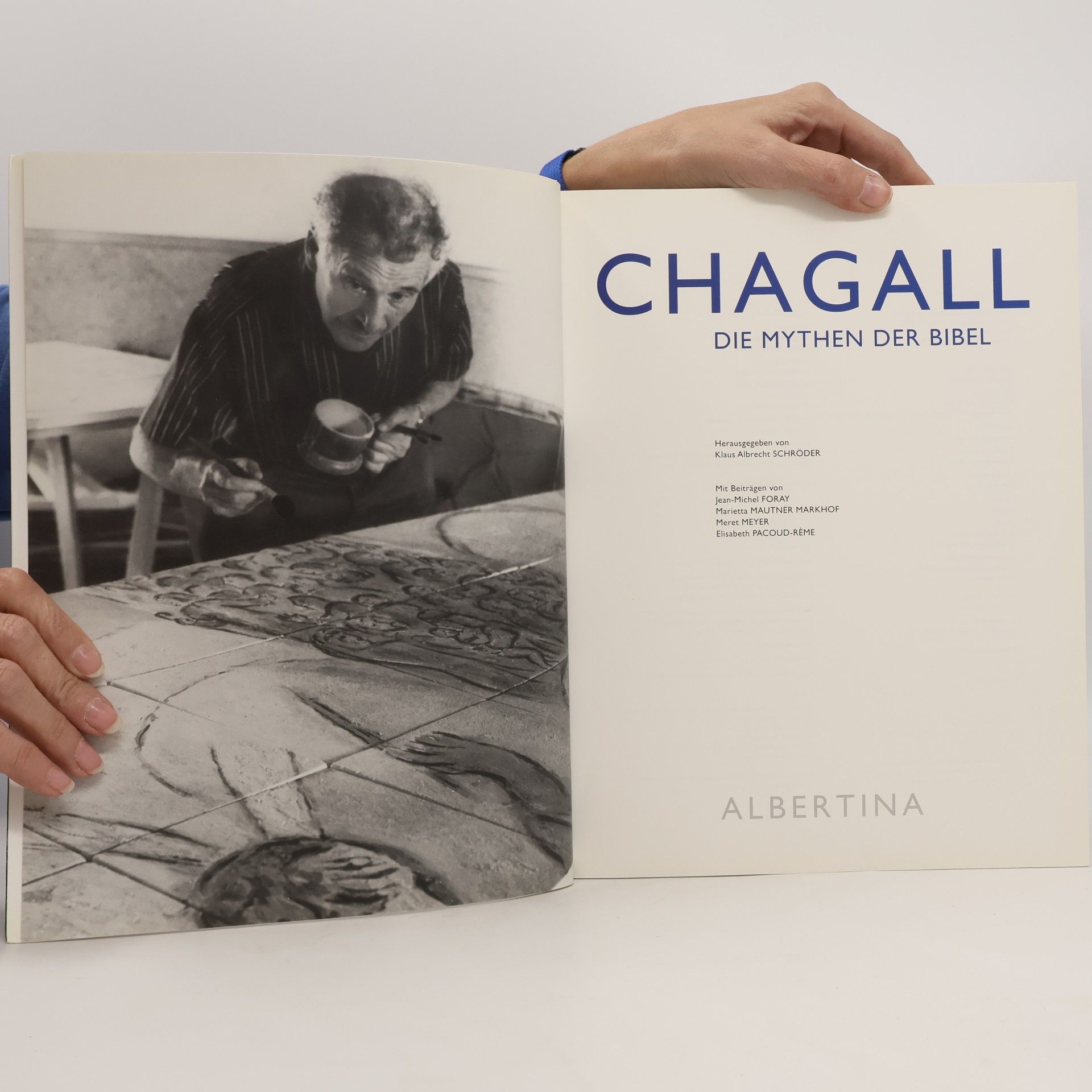 Klaus Albrecht Schröder Chagall. Die Mythen der Bibel