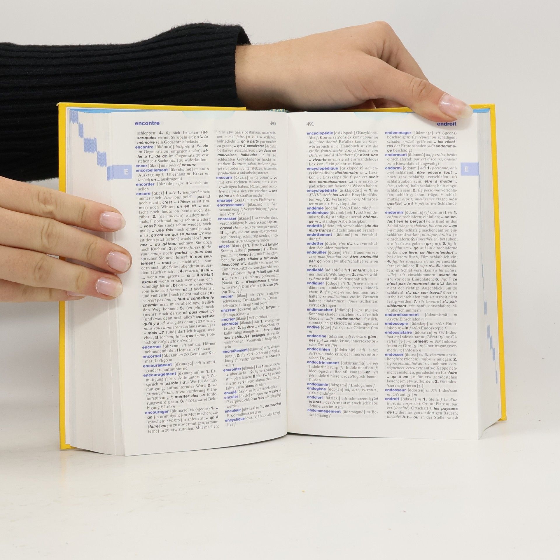 Manfred Bleher Langenscheidt, Großes Schulwörterbuch Französisch-Deutsch