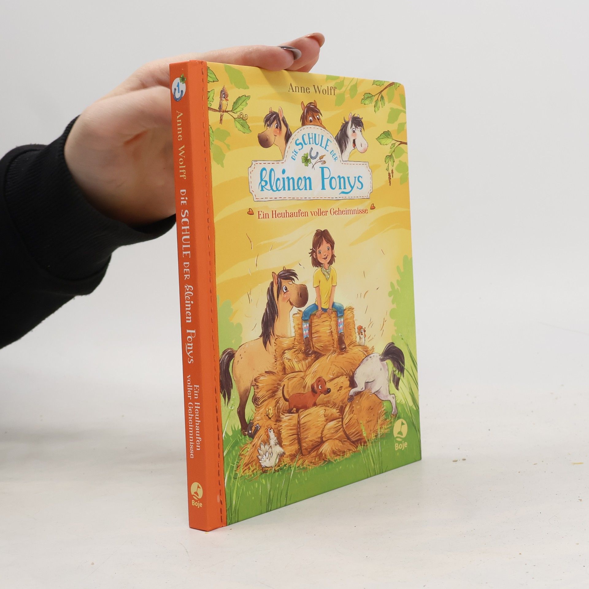 Die Schule der kleinen Ponys