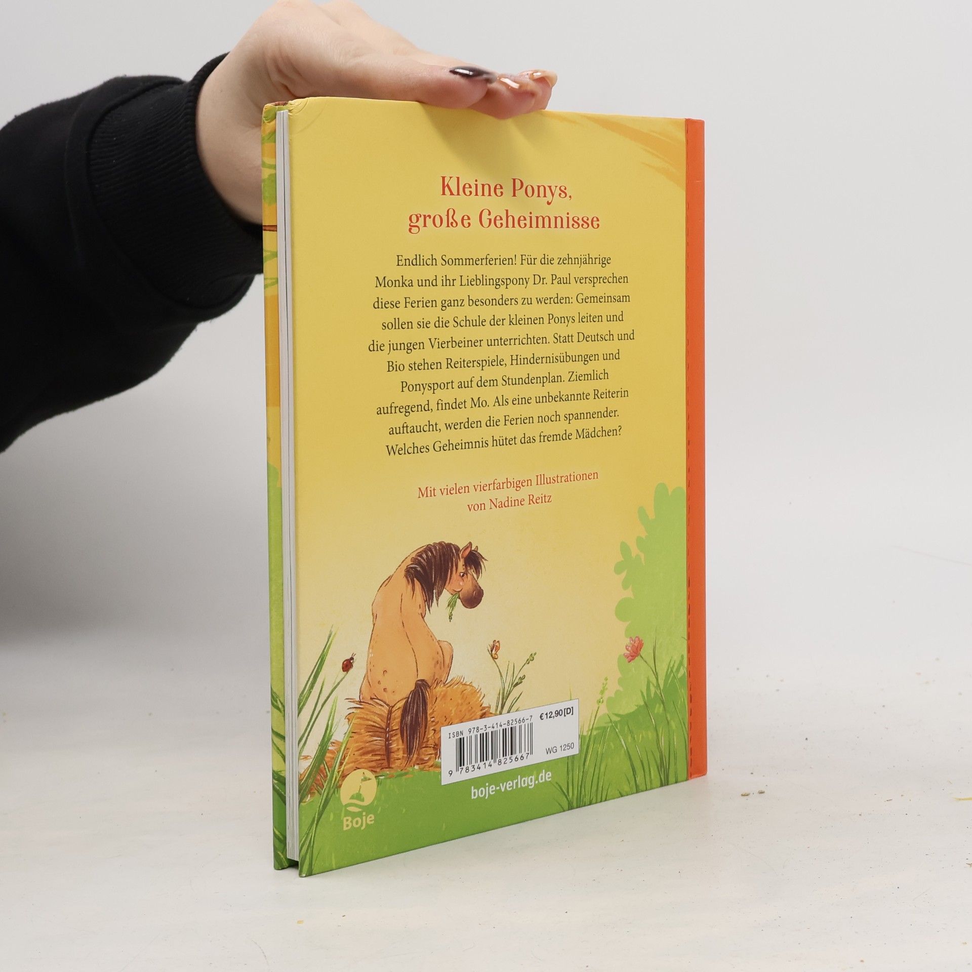 Anne Wolff Die Schule der kleinen Ponys