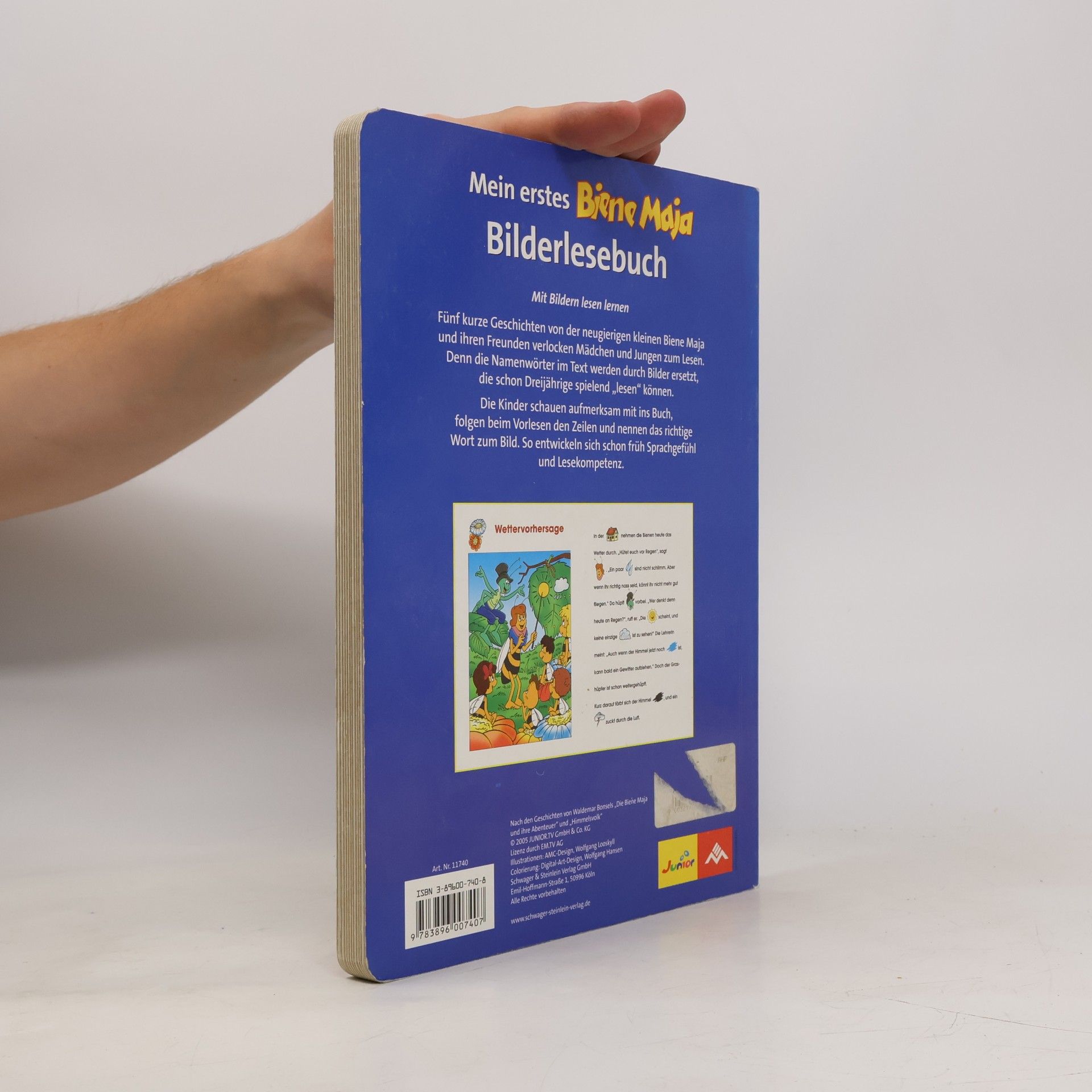 Autorenkollektiv Mein erstes Biene Maja. Bilder-Lesebuch