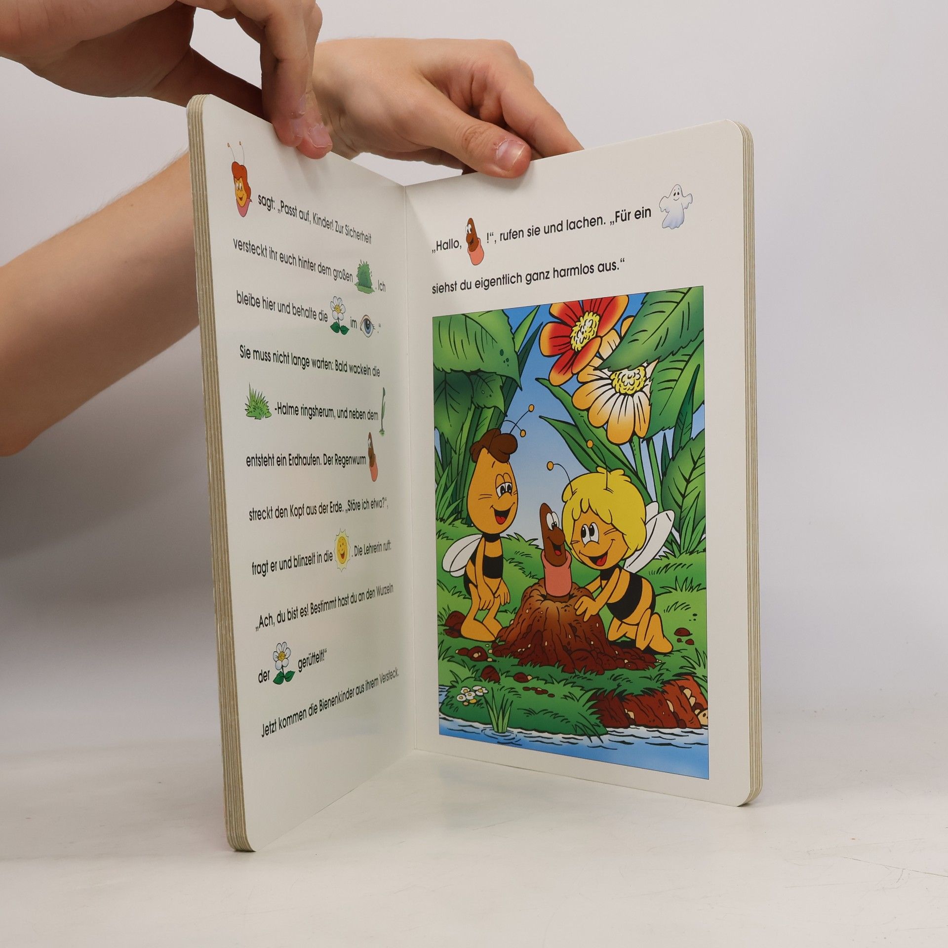 Autorenkollektiv Mein erstes Biene Maja. Bilder-Lesebuch