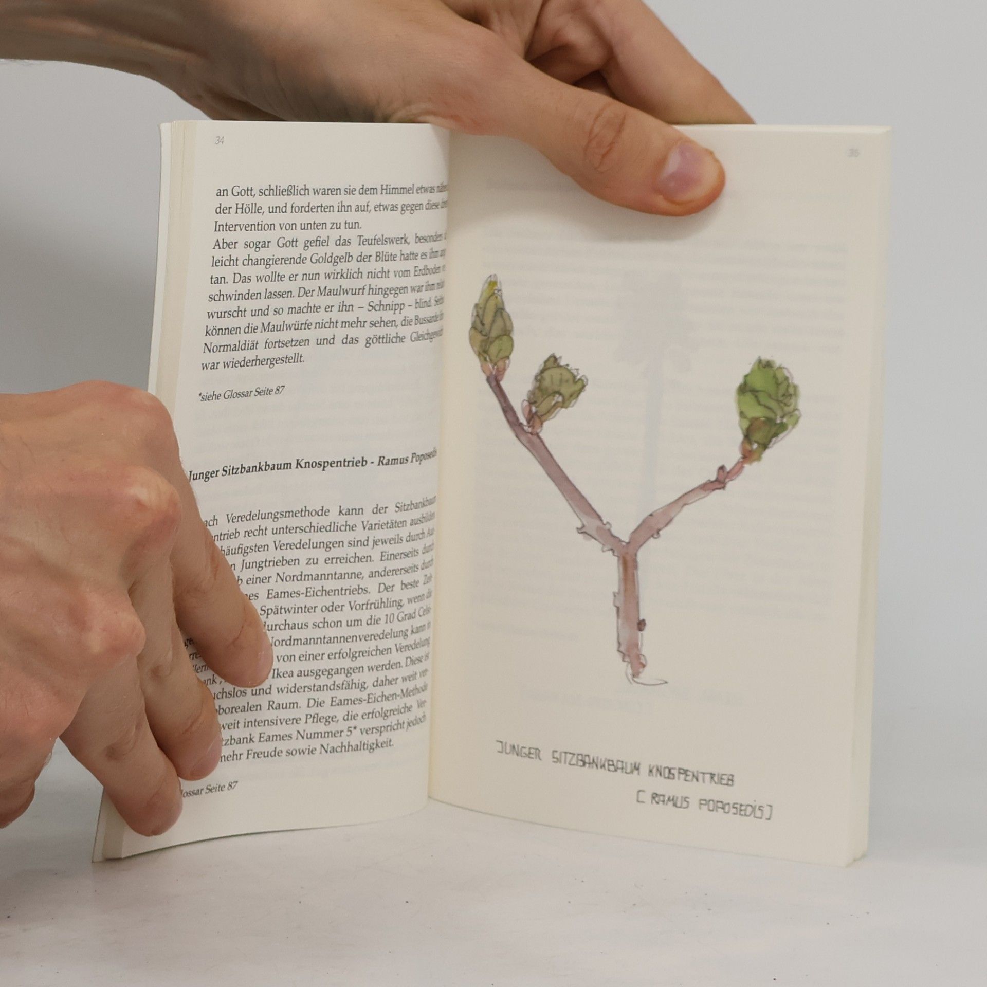 Georg Hartwig Herbarium