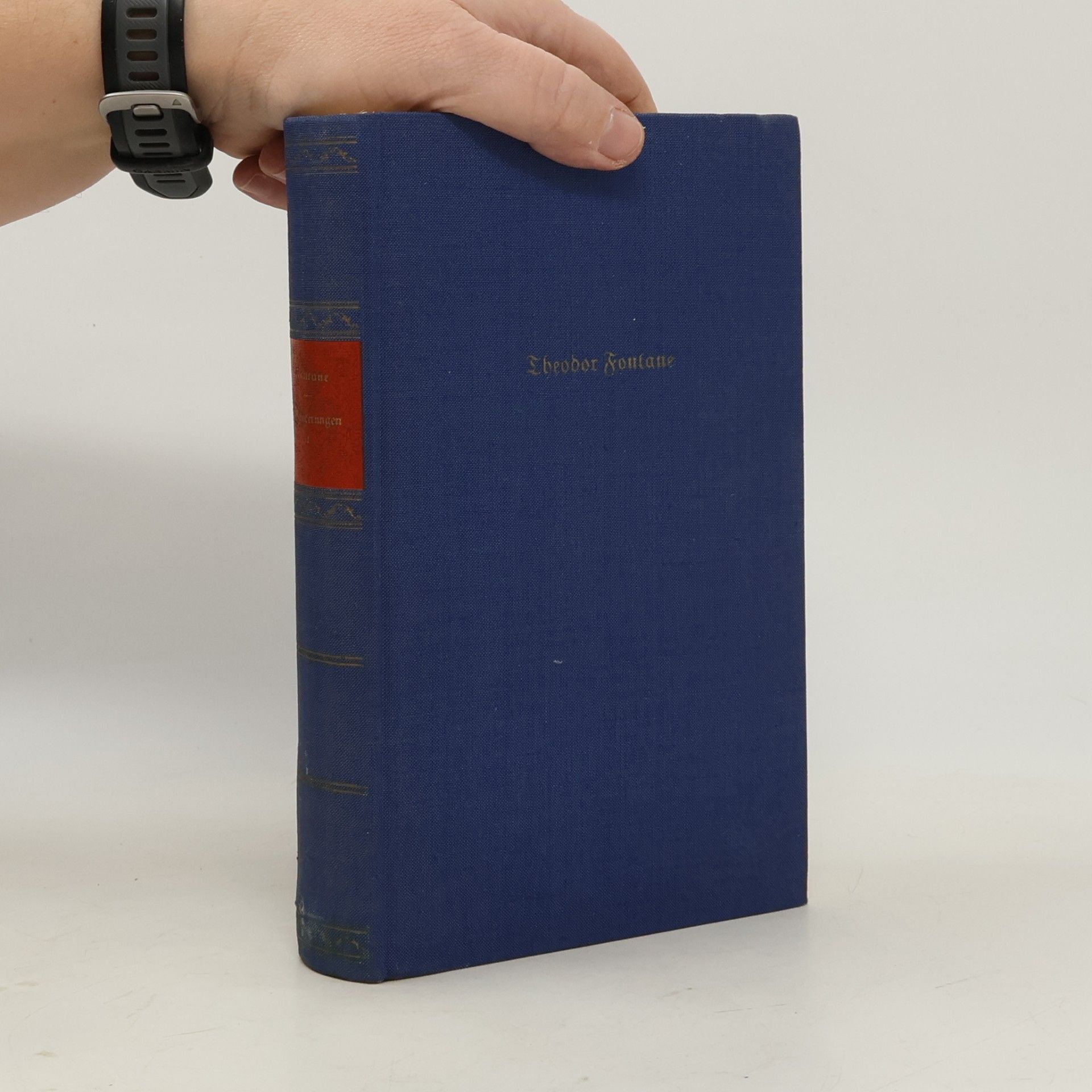 Theodor Fontane L'Adultera / Schach von Wuthenow