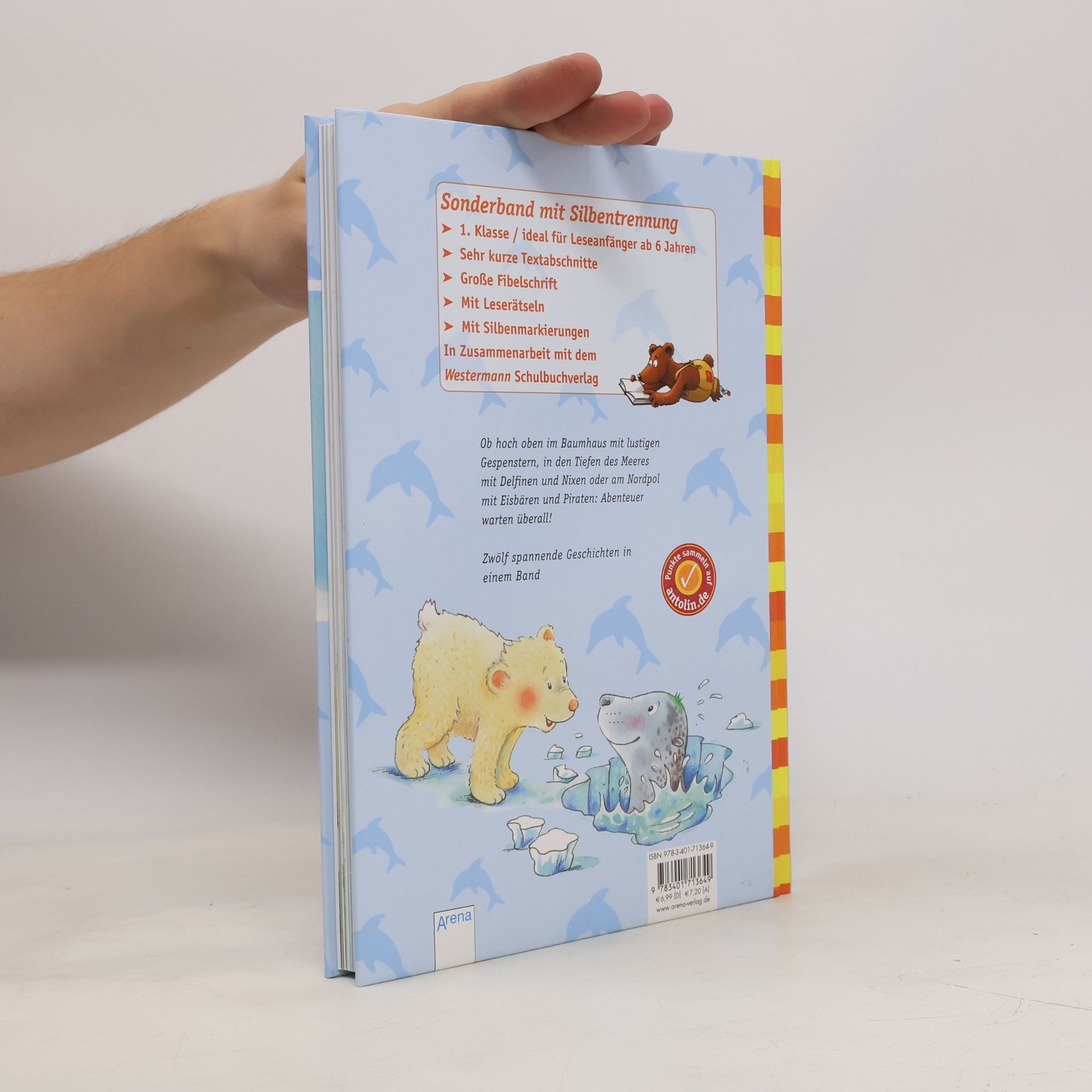 Christina Koenig Das große Abenteuer-Geschichtenbuch für Erstleser