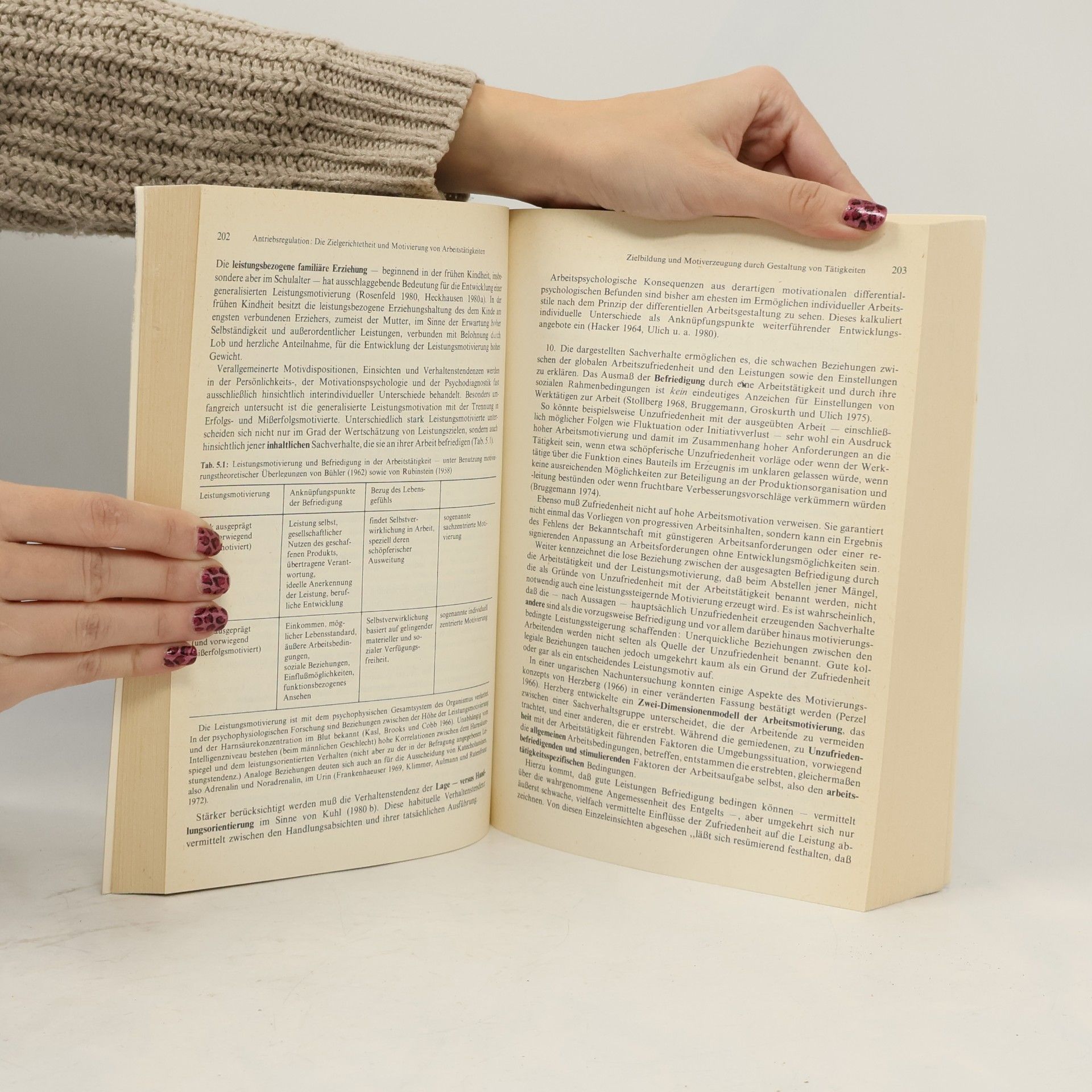 Winfried Hacker Schriften zur Arbeitspsychologie - 41: Arbeitspsychologie