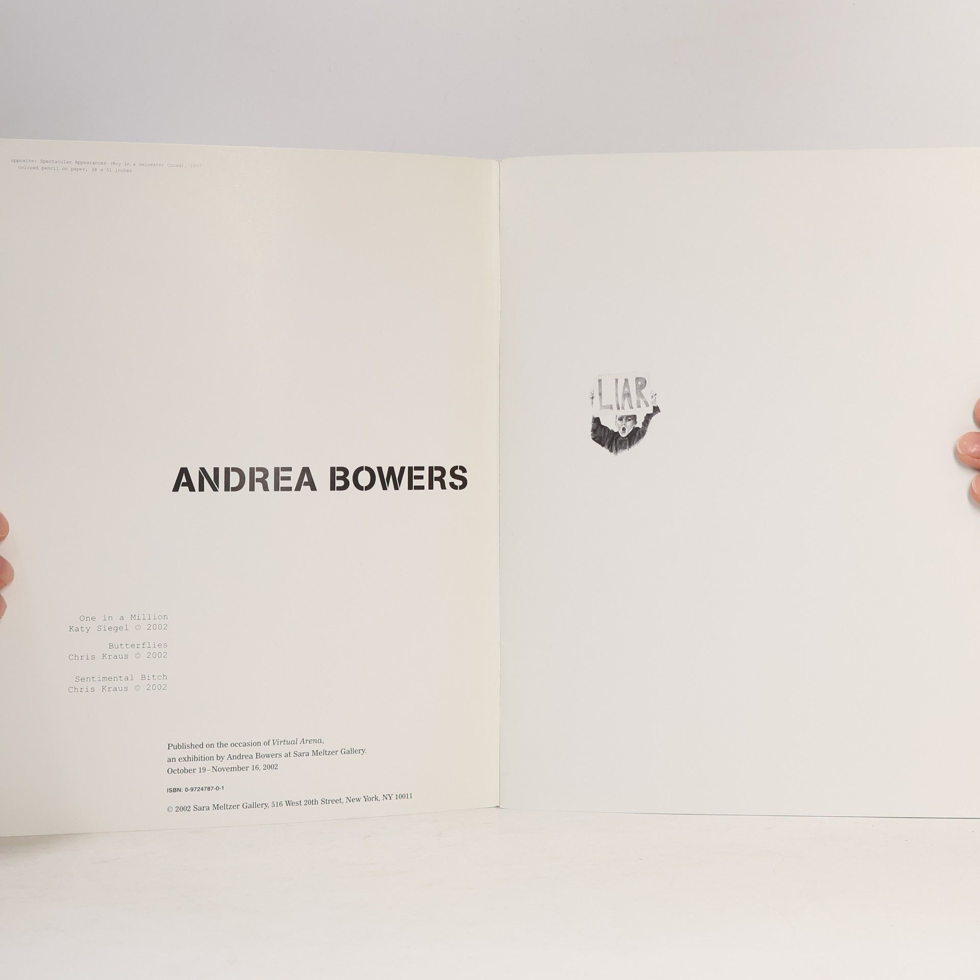 Katy Siegel Andrea Bowers