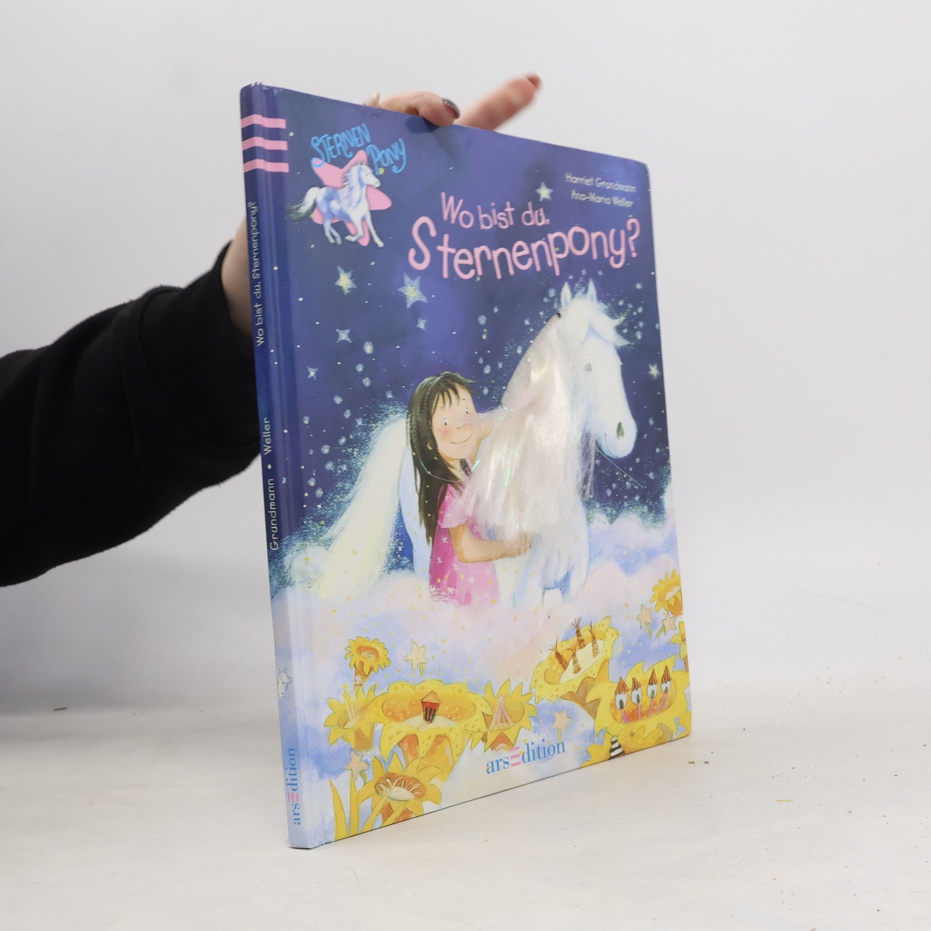 Wo bist du, Sternenpony?