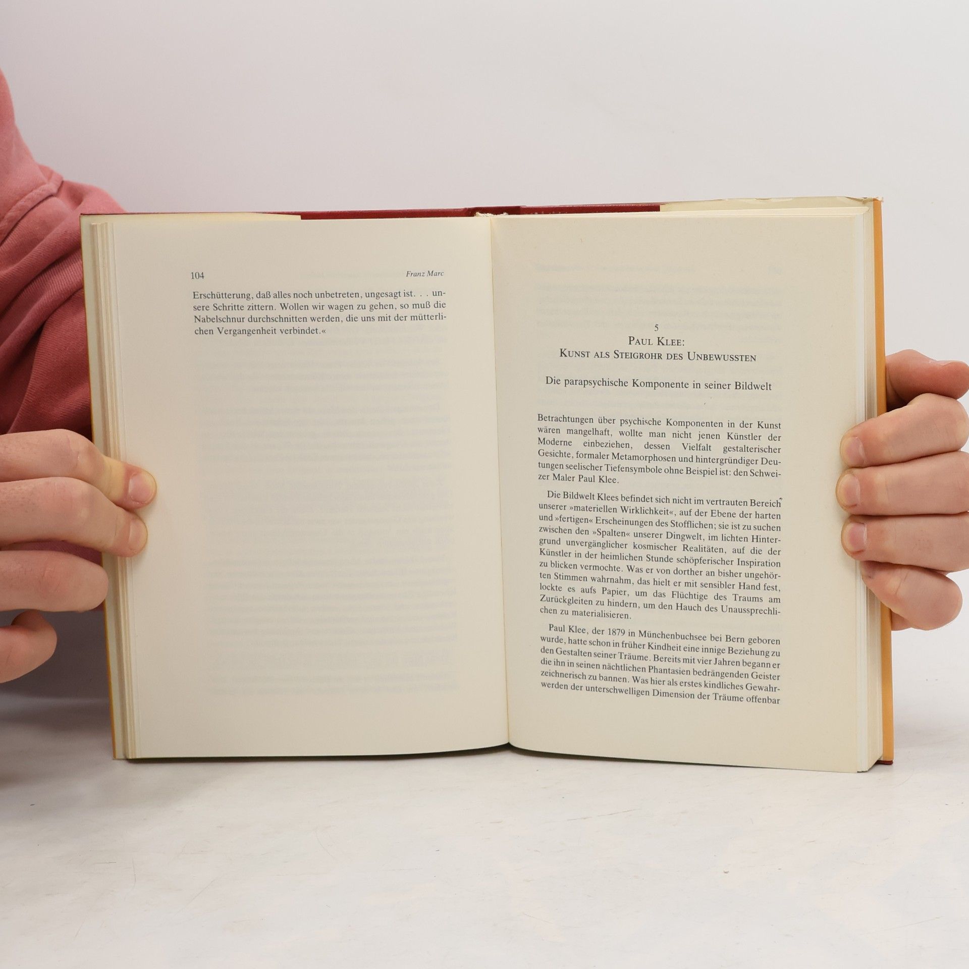 Hans-Reinhard Fischer Psi in der Malerei und Fotografie