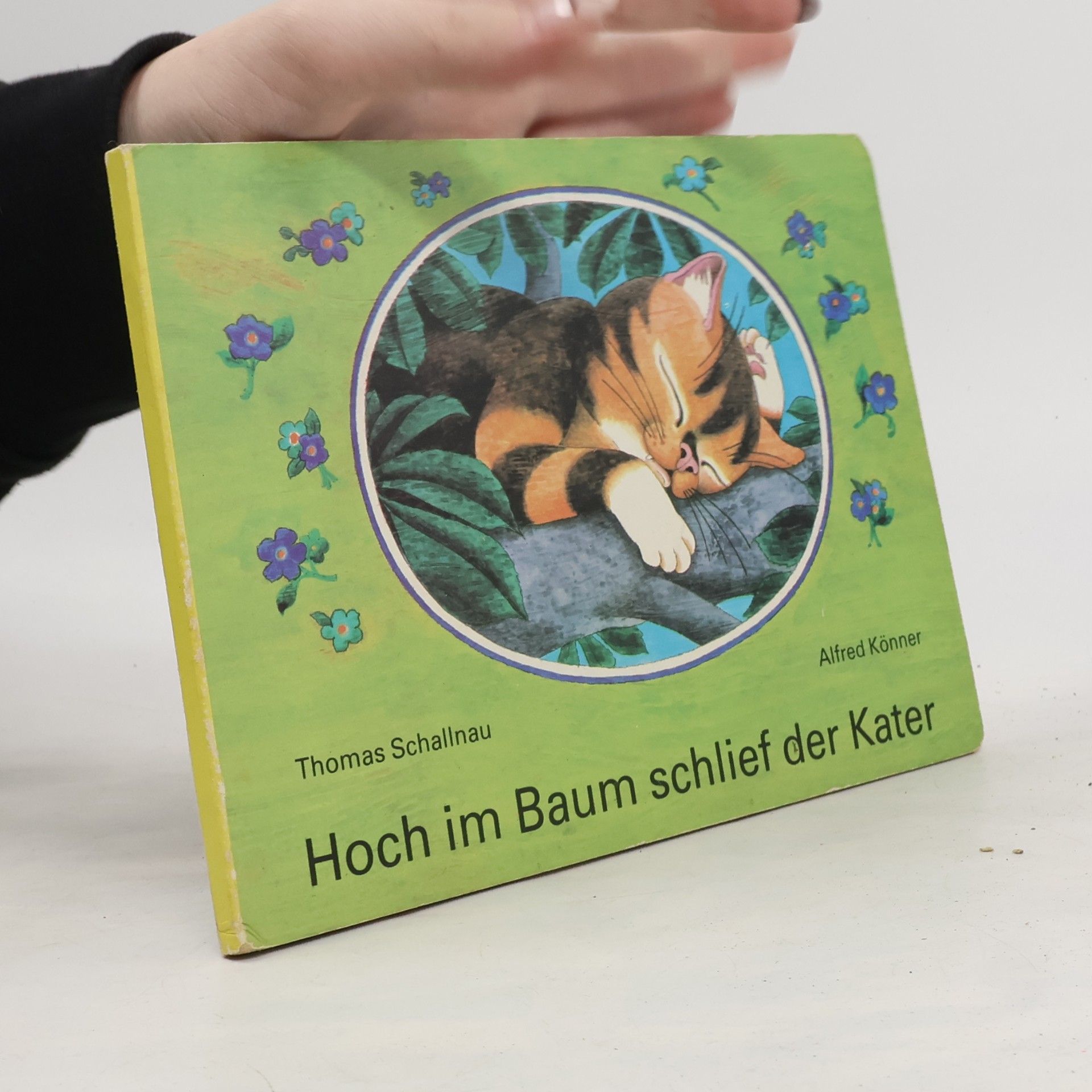 AA.VV. Hoch im Baum schlief der Kater