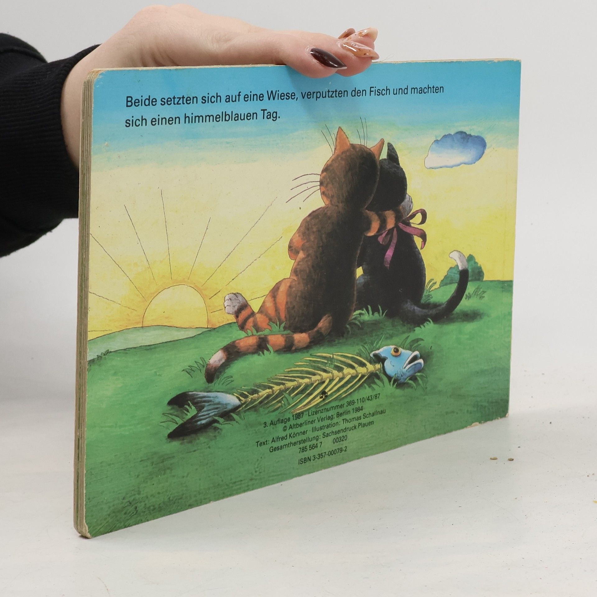 AA.VV. Hoch im Baum schlief der Kater