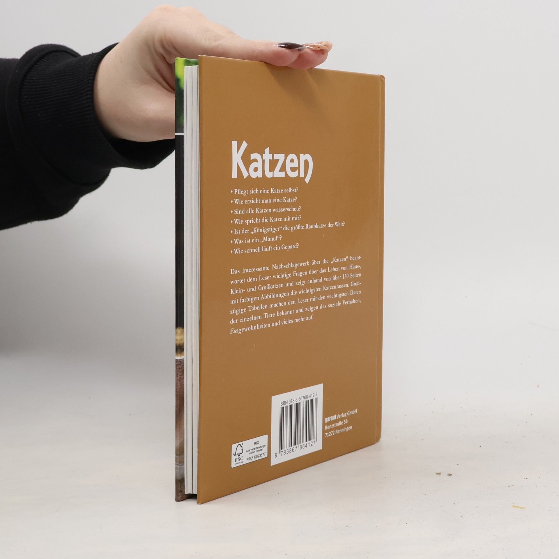 Katzen