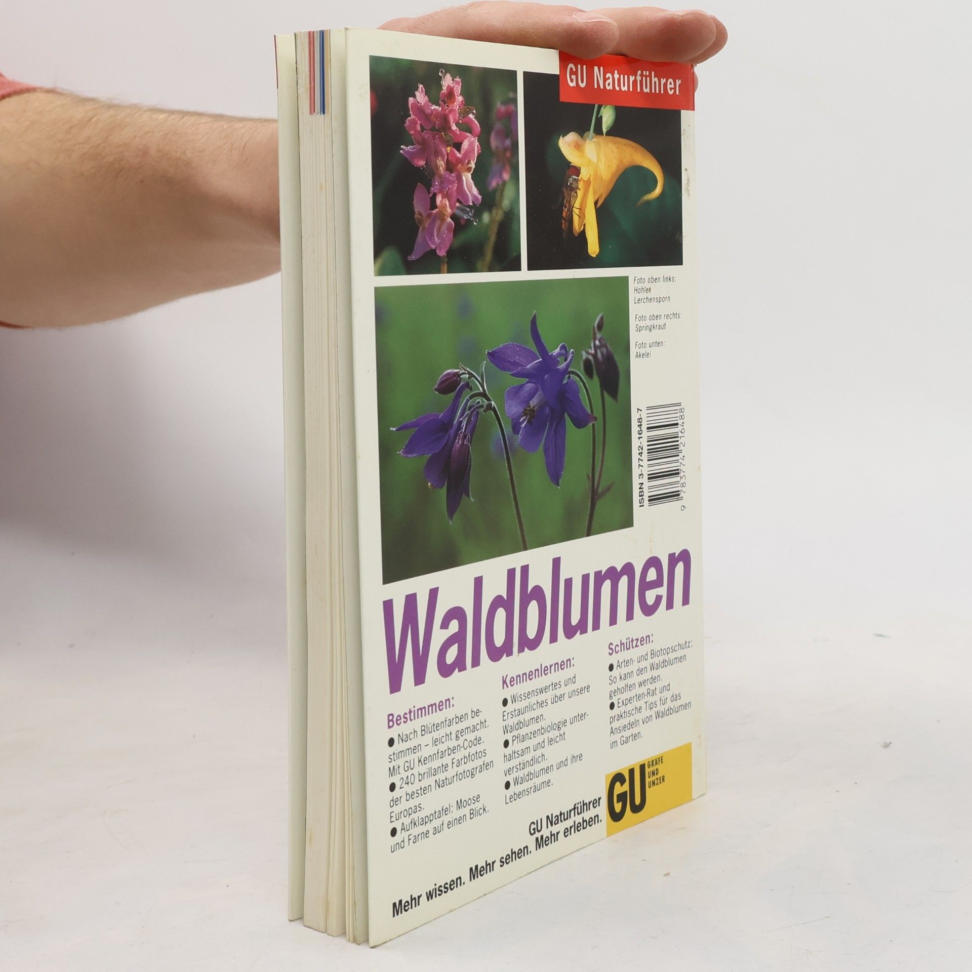 Bruno P. Kremer Waldblumen