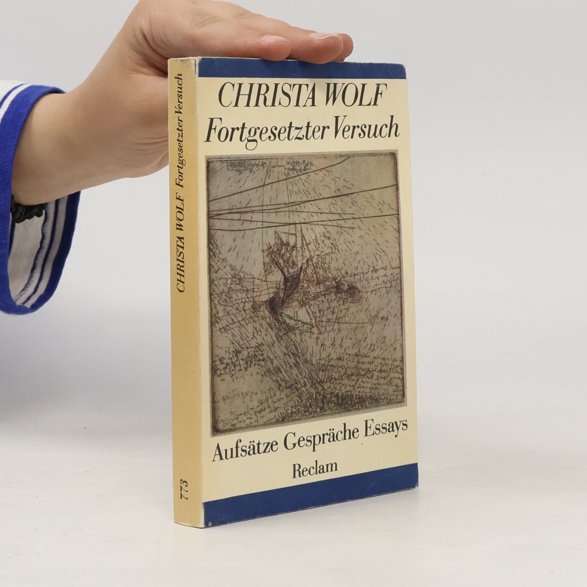 Fortgesetzter Versuch. Aufsätze, Gespräche, Essays