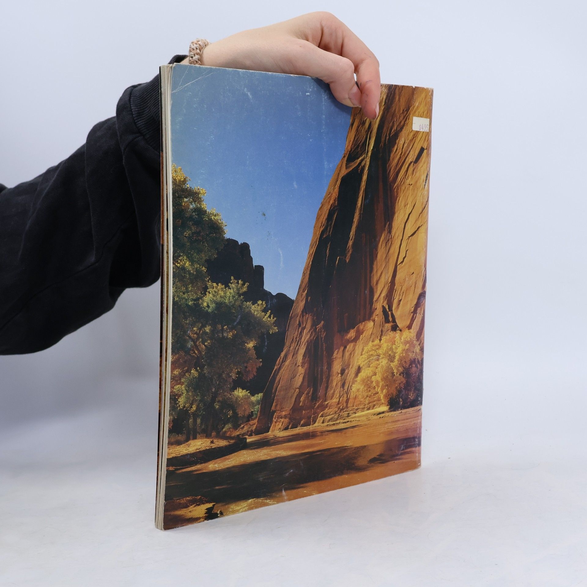Kolektiv autorů National Parkways. Canyon de Chelly, Mesa Verde & Hovenweep