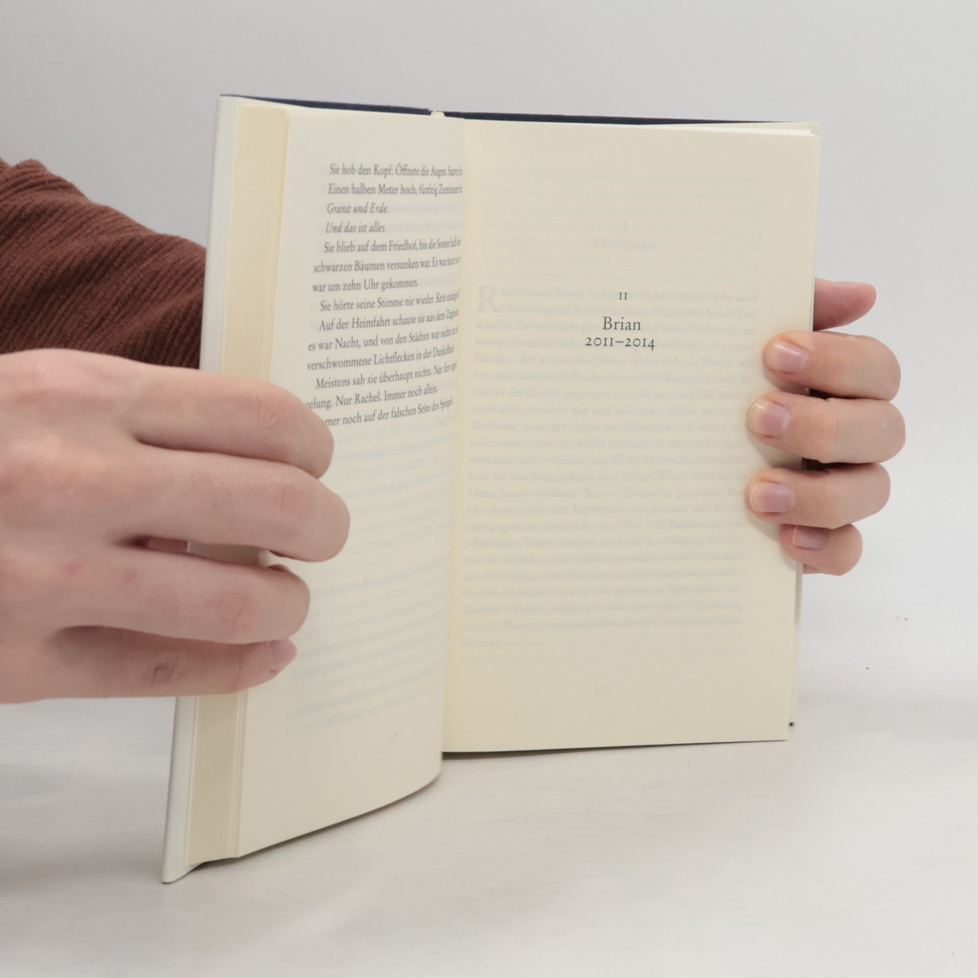 Dennis Lehane Der Abgrund in dir